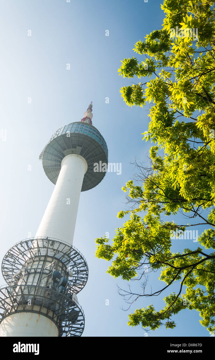 Torre di Namsan a Seul, in Corea del Sud. Foto Stock