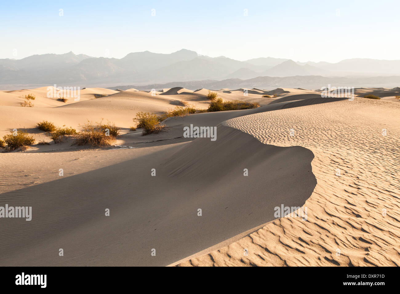 Le dune di sabbia di Mesquite piatto nella Valle della Morte nel deserto - California Foto Stock