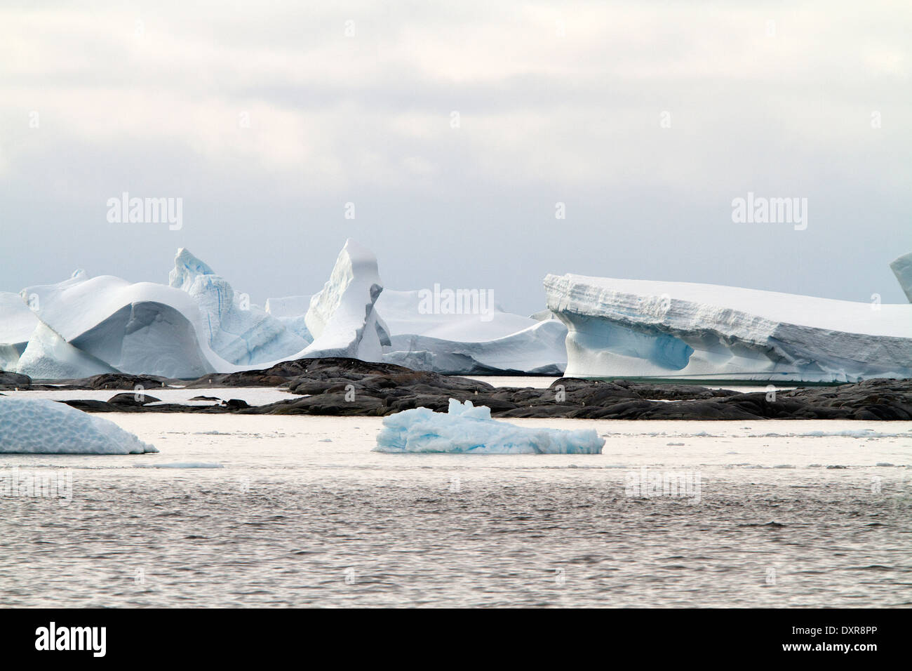 L'Antartide paesaggio antartico di iceberg, ice berg, iceberg, ghiacciaio, e ghiaccio. Foto Stock