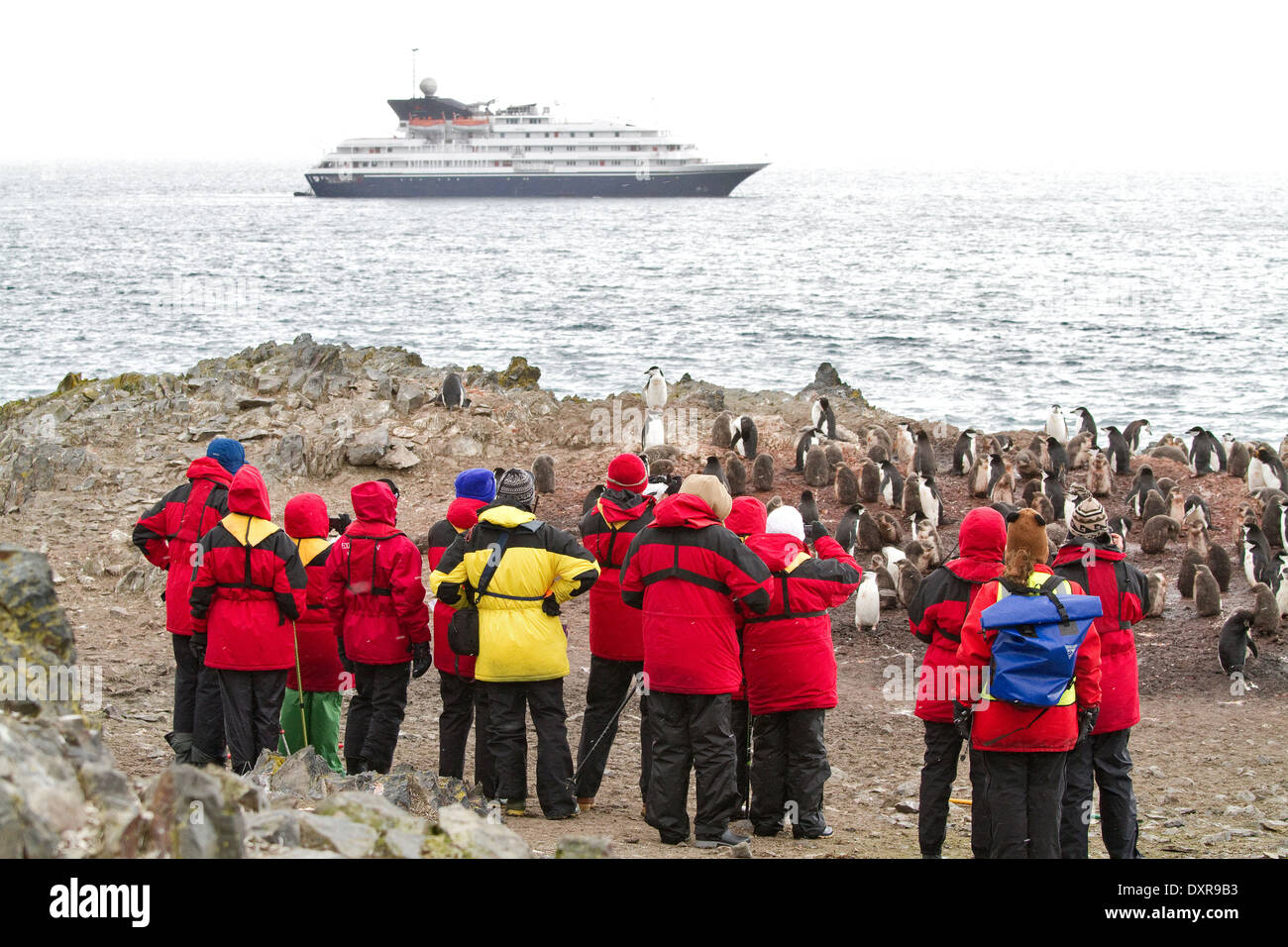 Nave da crociera spedizione in Antartide con i turisti in vista del paesaggio antartico, penguin, pinguini, Penisola antartica. Foto Stock
