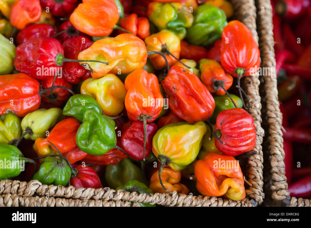 Scotch cofani, peperoncino in vendita presso il Mercato di Portobello, Portobello Road a Notting Hill, Londra, Inghilterra, Regno Unito Foto Stock