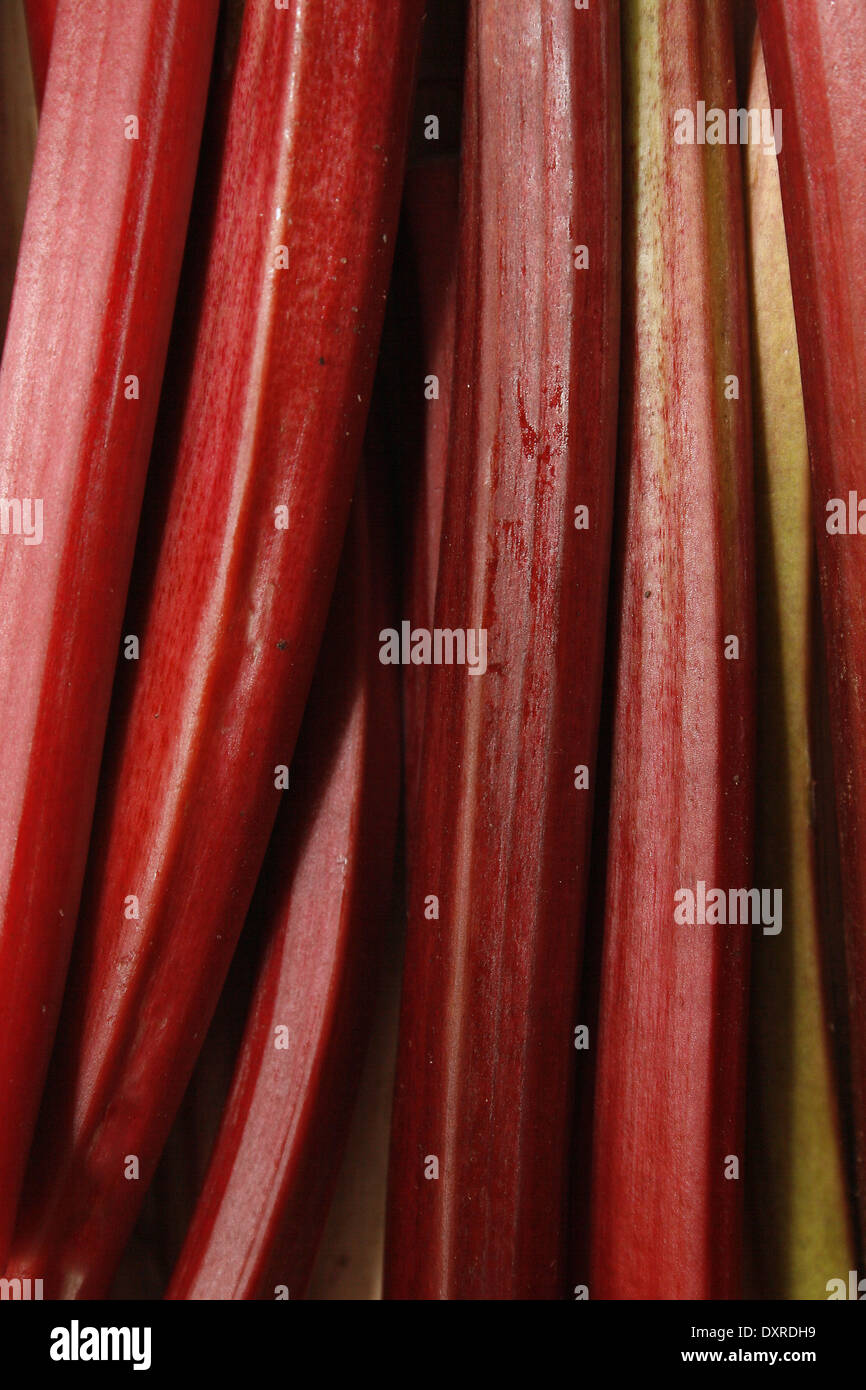 Gli stocchi di rabarbaro sul tagliere Rheum rhabarbarum Foto Stock