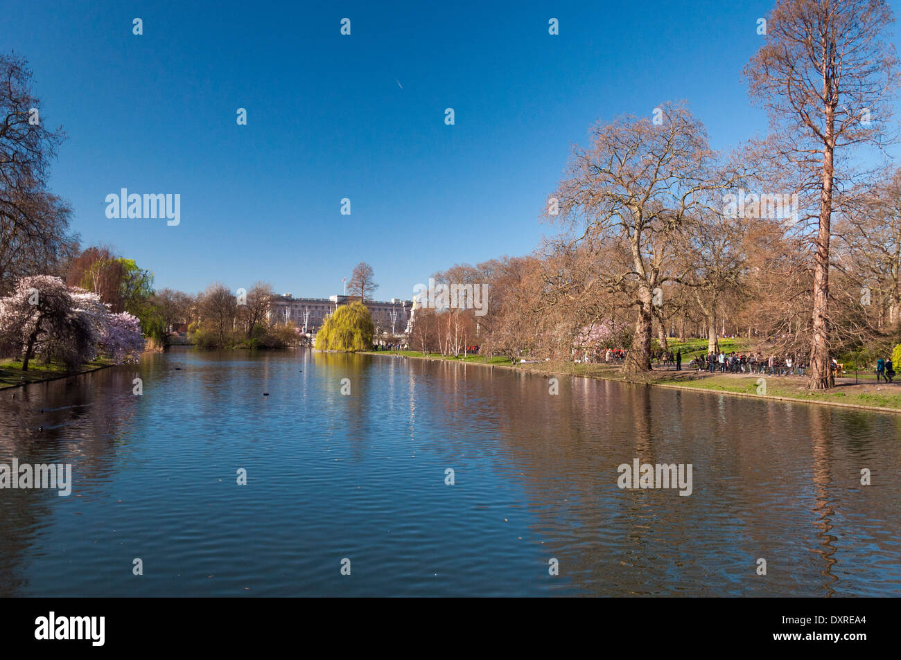 Viste intorno a St James Park a Londra per una luminosa giornata di sole in primavera Foto Stock