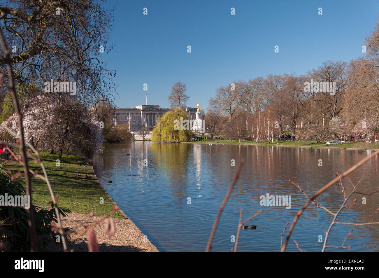 Viste intorno a St James Park a Londra per una luminosa giornata di sole in primavera Foto Stock