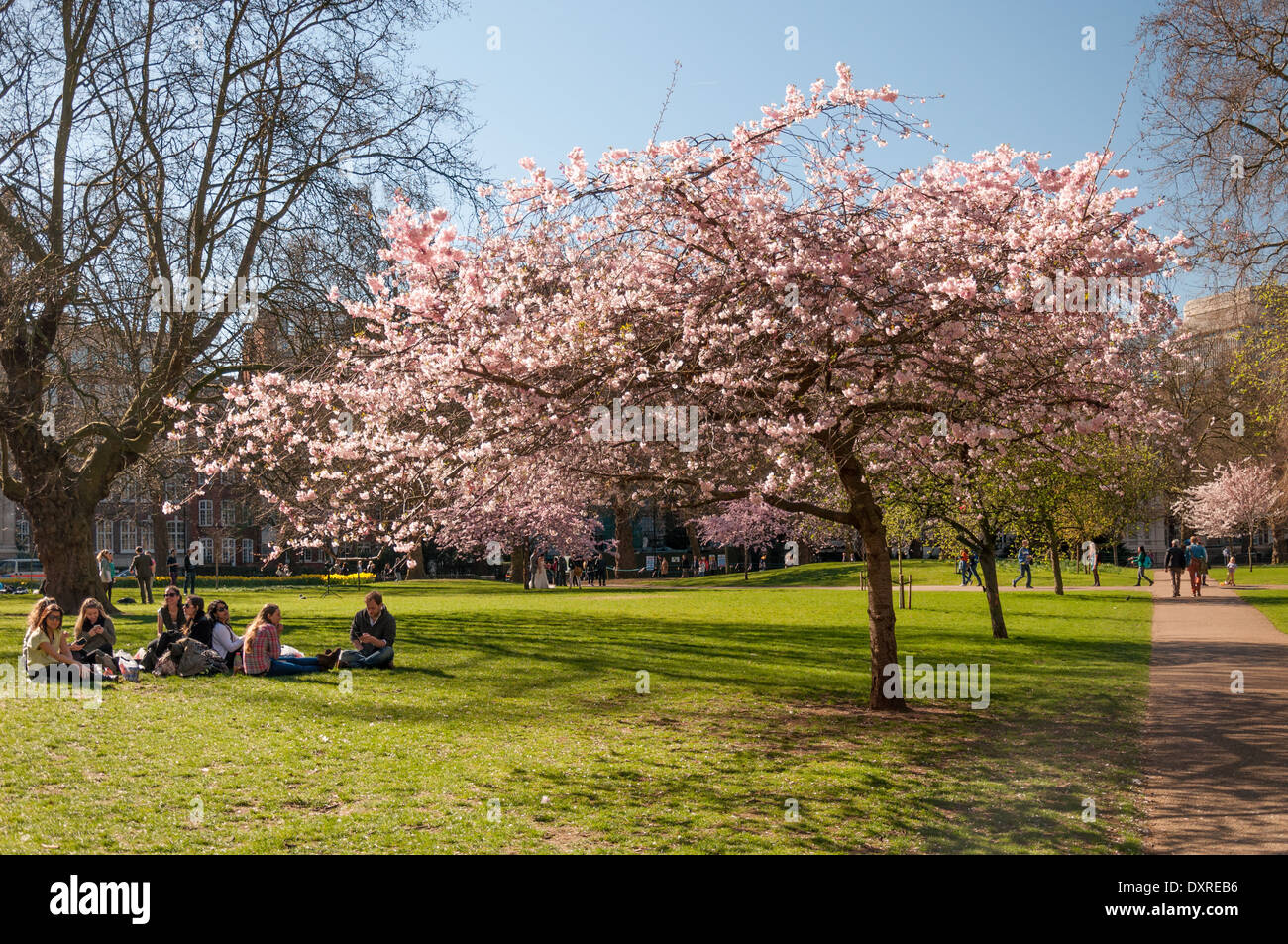 Viste intorno a St James Park a Londra per una luminosa giornata di sole in primavera Foto Stock