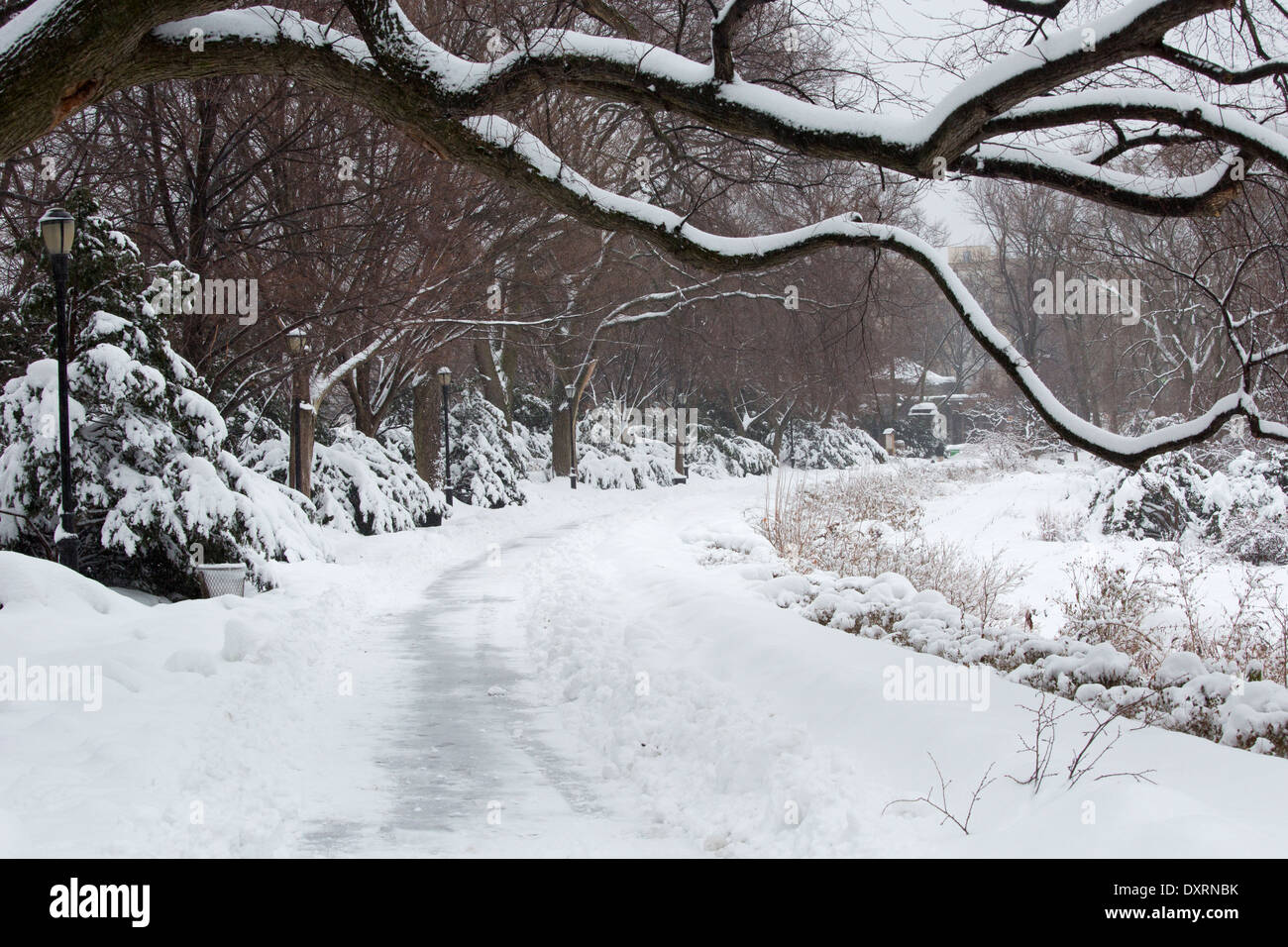 Fort Tryon Park, New York City, nella neve, febbraio 2014. Molto freddo inverno nevoso. Stati Uniti d'America Foto Stock