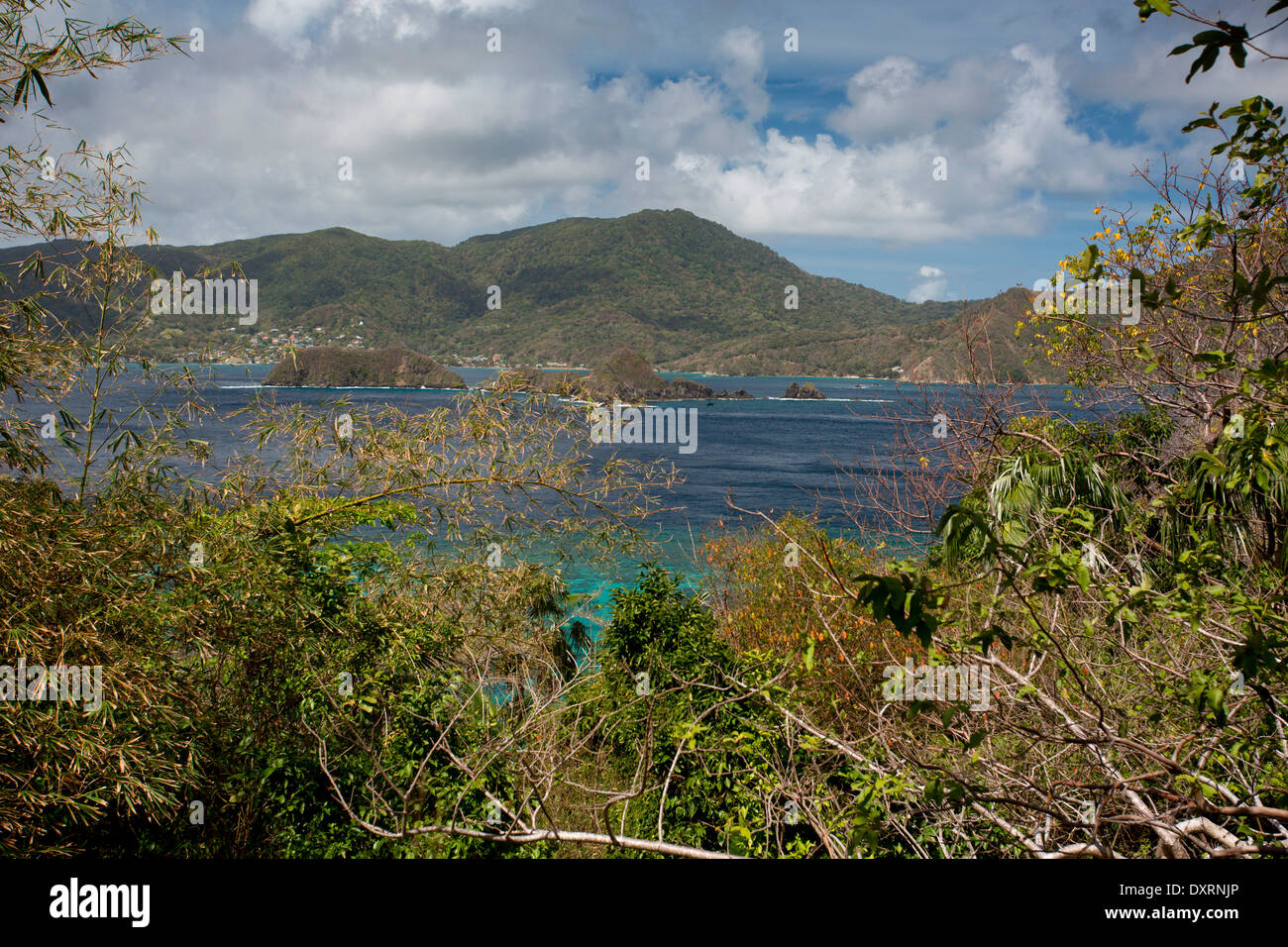 Batteaux Bay a Speyside, sulla costa atlantica di Tobago, visto dalla piccola isola di Tobago. Foto Stock