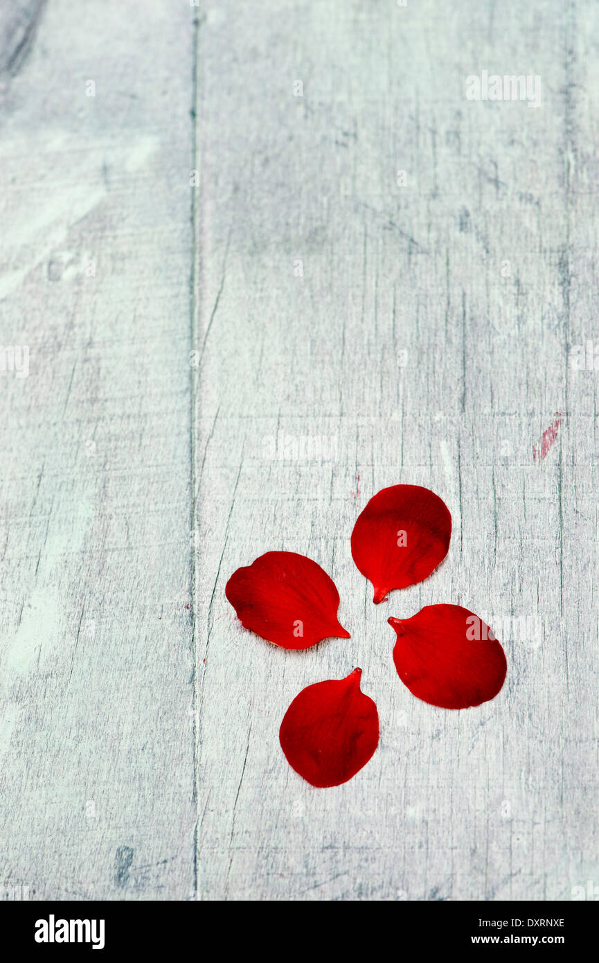 Fiore rosso petali su un dipinto di Sfondo legno Foto Stock