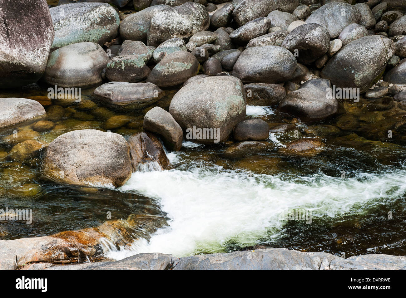 Mossman Gorge nel Parco Nazionale Daintree vicino a Port Douglas, Queensland, Australia Foto Stock