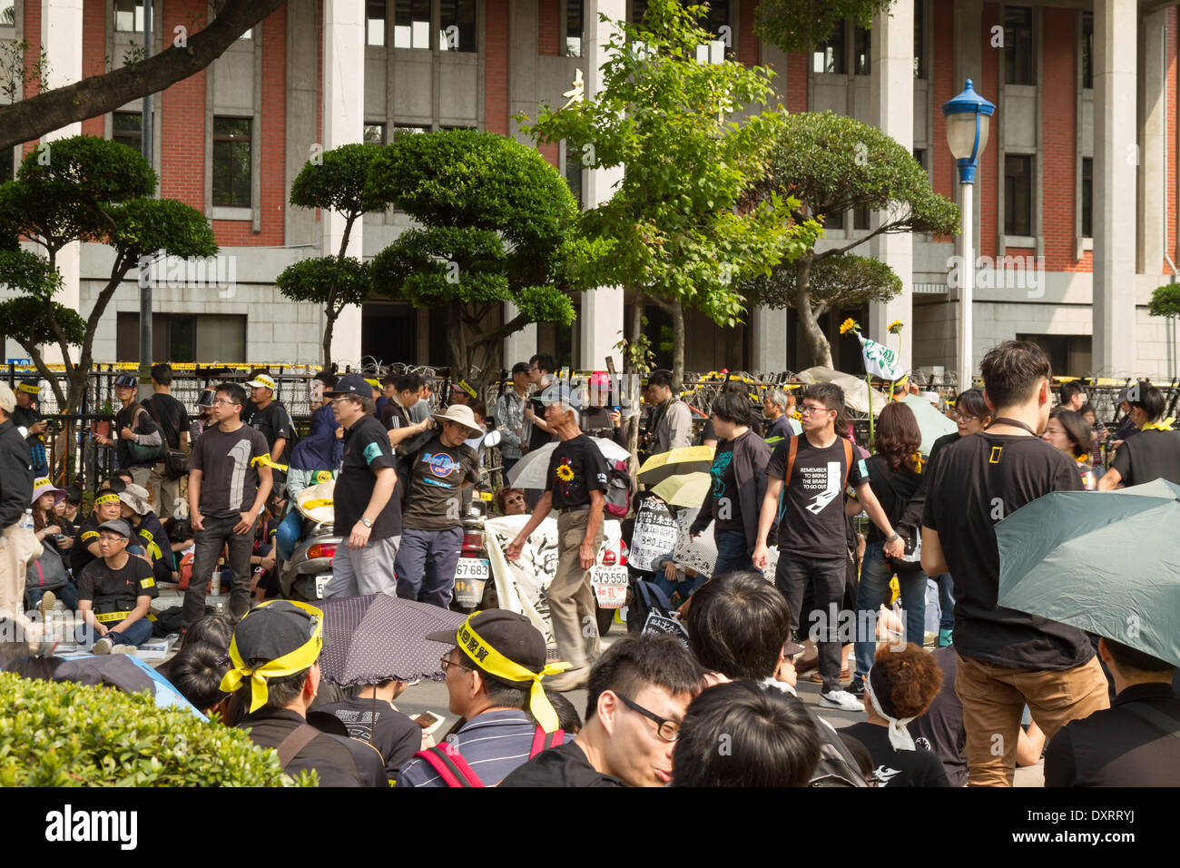 TAIPEI, Taiwan, 30 marzo 2014. Centinaia di migliaia di persone protestano a Taiwan il patto commerciale con la Cina al di fuori del palazzo presidenziale a Taipei. Lo studente-movimento led, il movimento di girasole, iniziato la protesta per opporsi al patto al Yuan legislativo il 18 marzo 2014 dopo un legislatore KMT ha annunciato il completamento del riesame senza discussione bipartisan. I dimostranti portavano nastri giallo a leggere 'opporsi a patto di servizio, salvare Taiwan,' mentre si trasporta il girasole come simbolo delle proteste. Credito: Immagini da Kenny/Alamy Live News Foto Stock