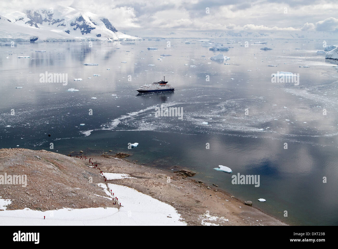 L'Antartide la nave di crociera in Antartide spedizione del paesaggio con i turisti, Penisola Antartica, Neko Harbour, porto. Foto Stock