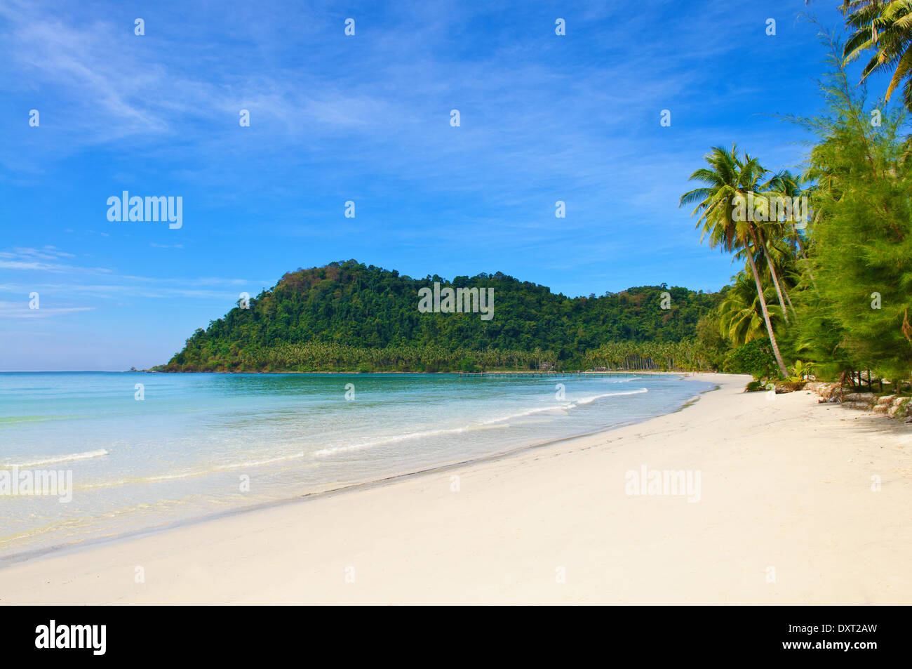 Incontaminata spiaggia tropicale in Sri Lanka Foto Stock