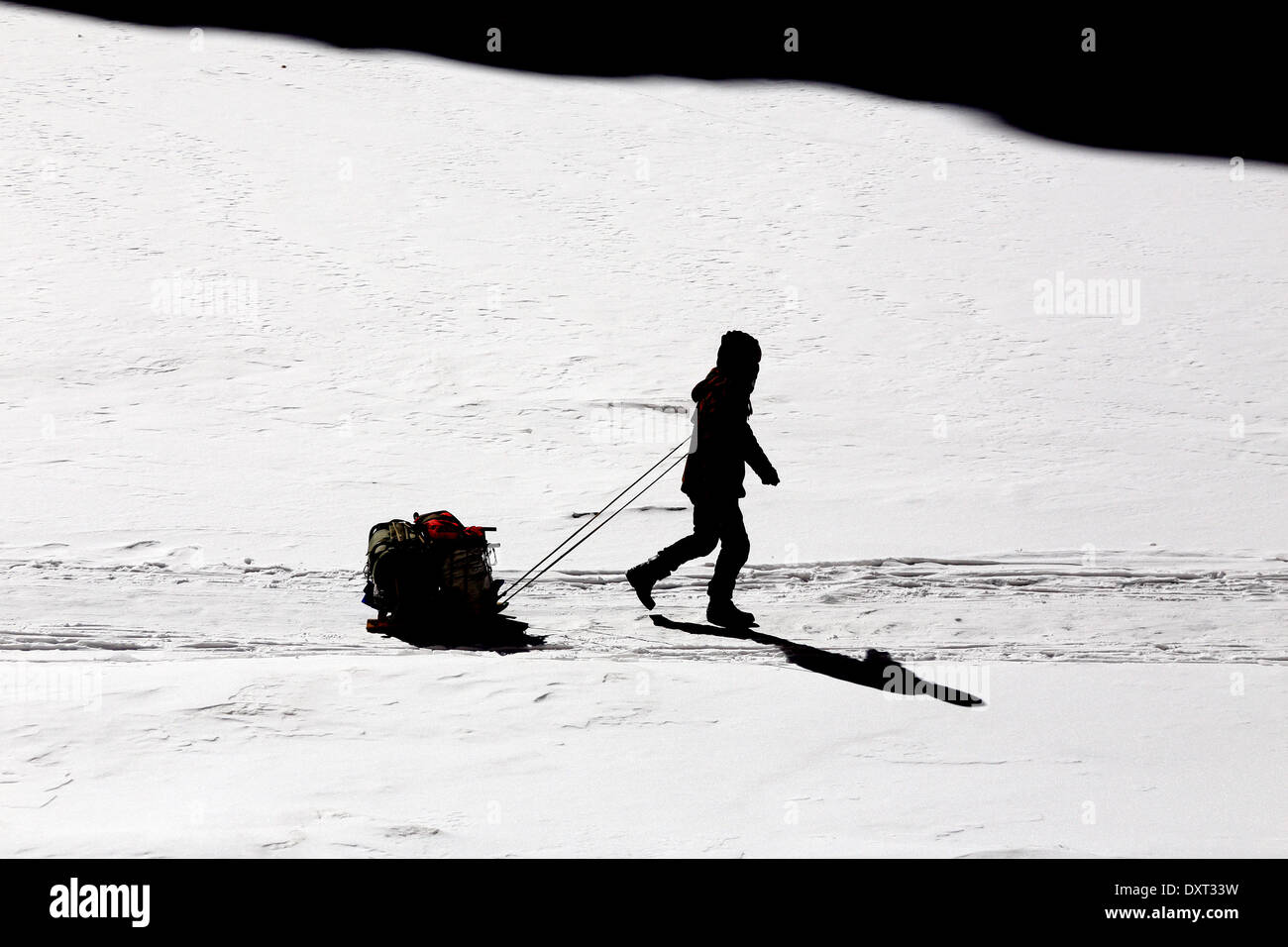 Inverno Trekking in Ladakh sulla congelati Zanskar river Foto Stock