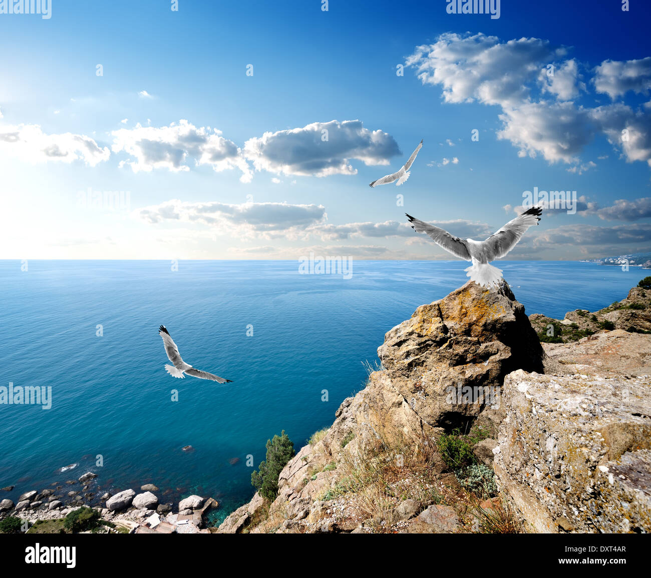 Tre gabbiani sopra il mare e le montagne Foto Stock