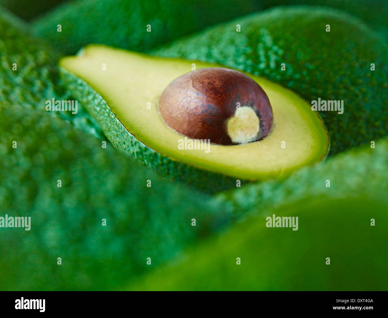 Extreme close up di fettine di Pinkerton avocado Foto Stock