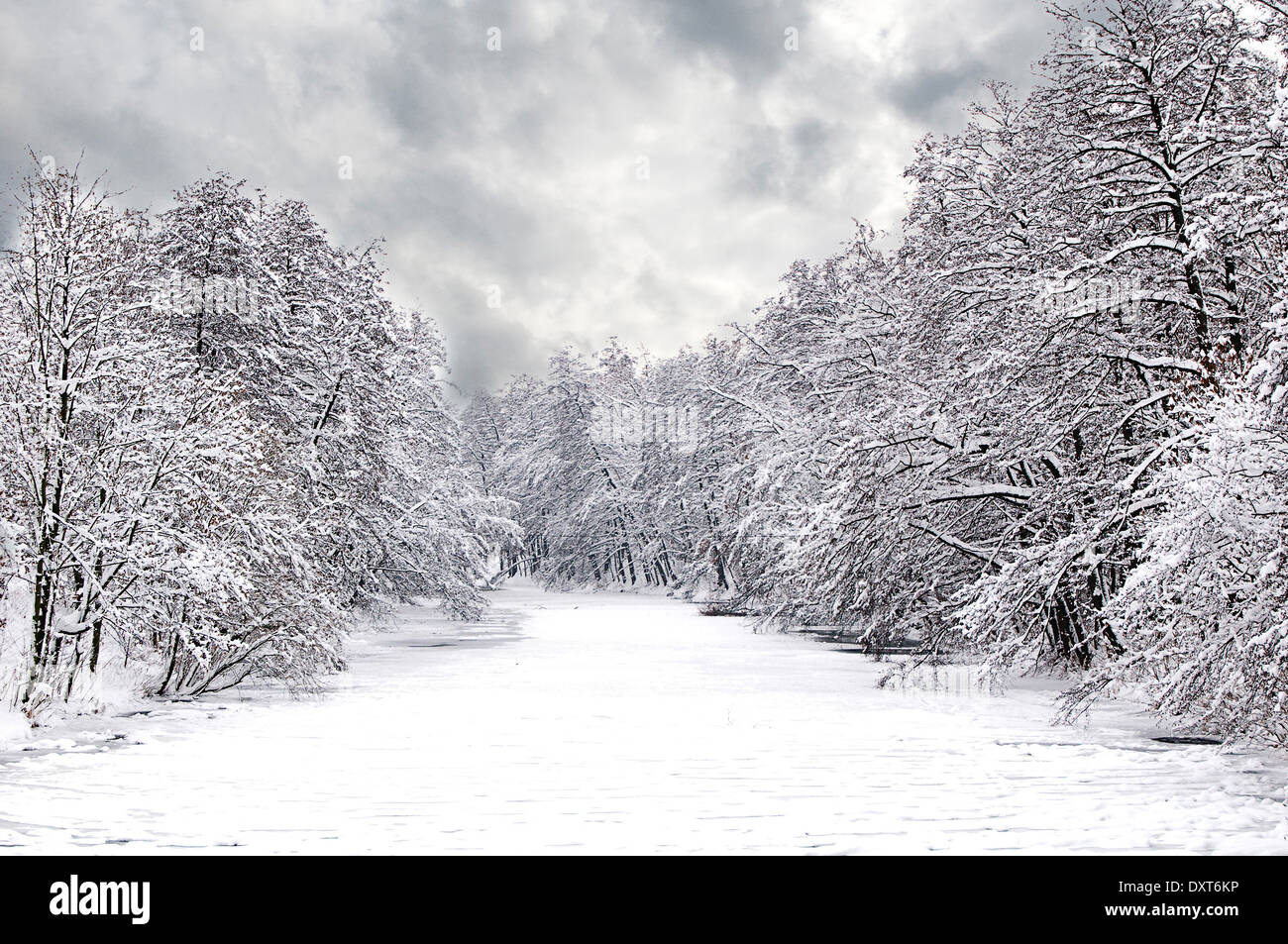 Paesaggio invernale con la neve sugli alberi e fiume congelato Foto Stock