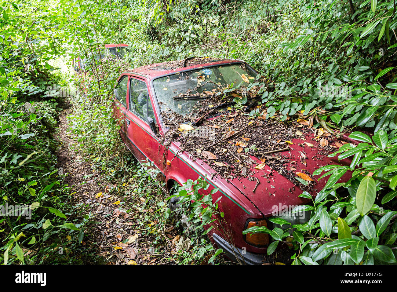 Auto abbandonate nel bosco e ricoperta di Abergavenny, Wales, Regno Unito Foto Stock