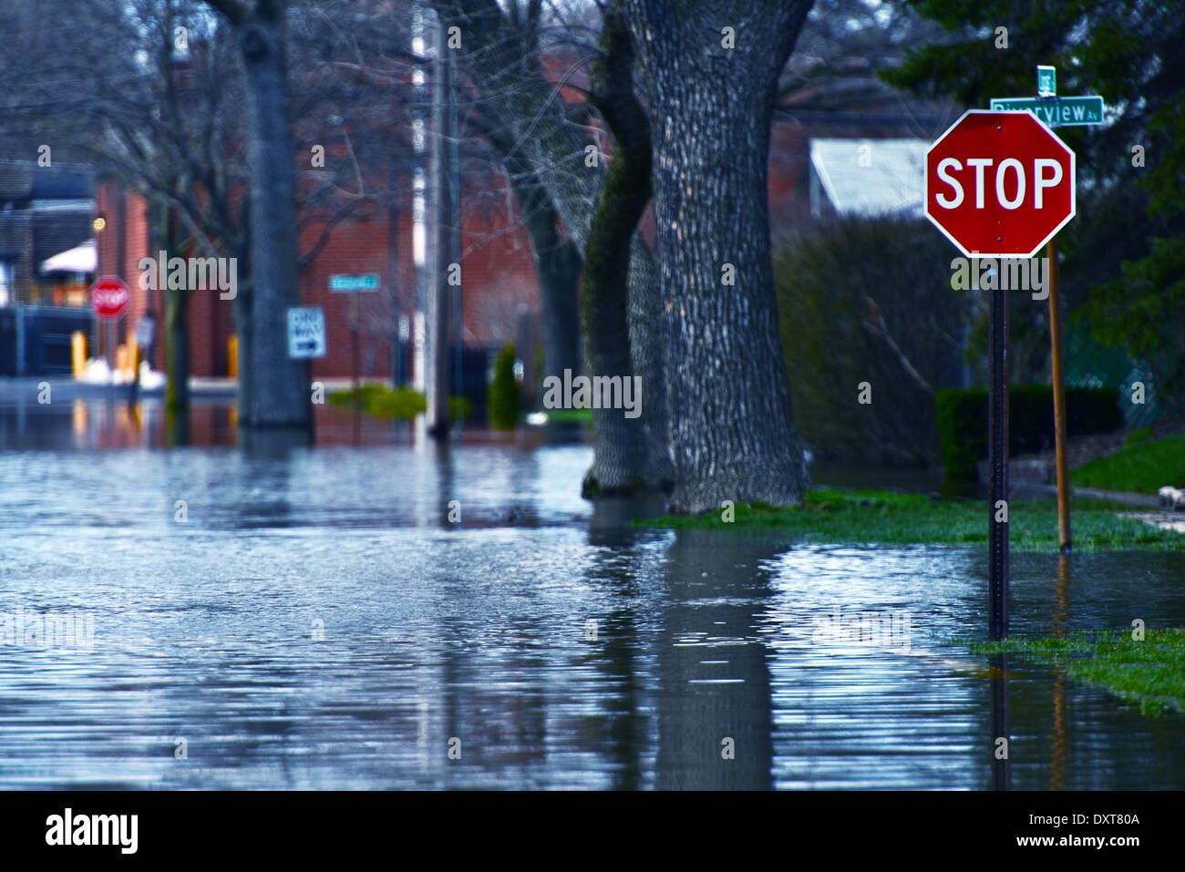 Strada allagata di Des Plains City. Molla alluvione del fiume. Des Plains, IL, Stati Uniti d'America. Disastri naturali Raccolta foto. Foto Stock