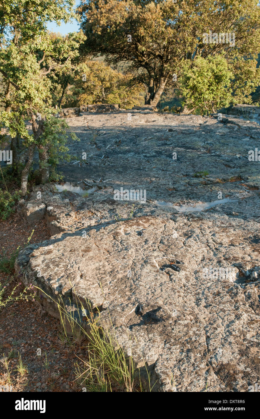 Orme di dinosauro ornitopod (o ichniti) in una roccia piatta, in precedenza il fondo di una laguna interna al sito fossile Senoba, Spagna. Foto Stock
