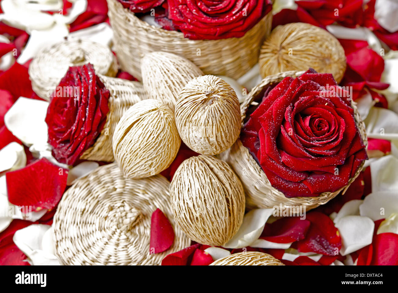 Rose rosse la decorazione floreale. Boccioli di rosa, noci di cocco e piccole ceste di bargiglio. Floral Decorazione Home Raccolta foto. Foto Stock