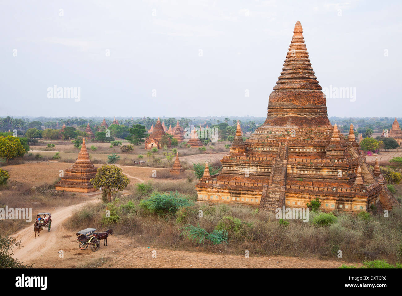I templi buddisti di Bagan, Myanmar Foto Stock