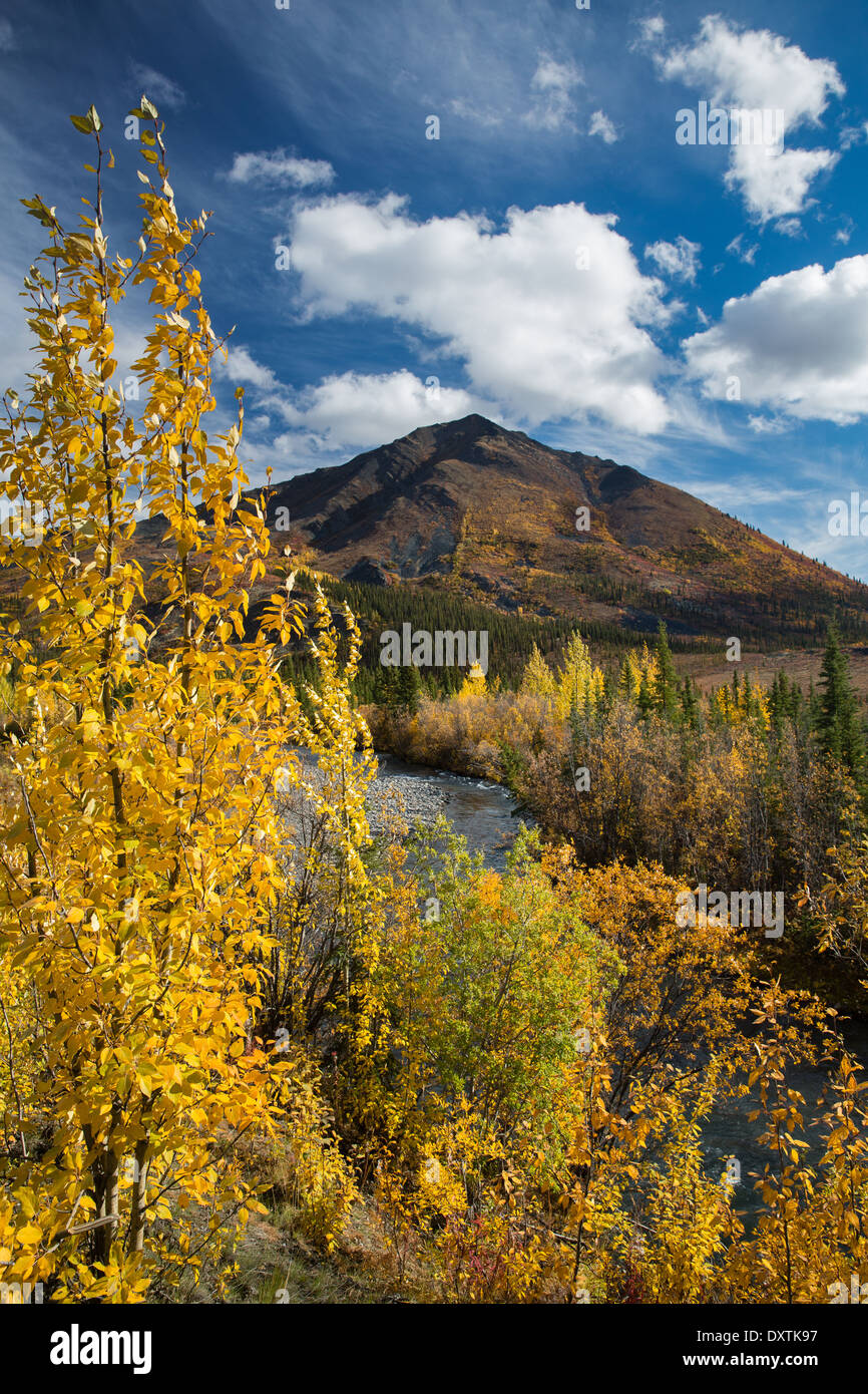 I colori autunnali sfrangiare la Dempster Highway, Yukon Territori, Canada Foto Stock