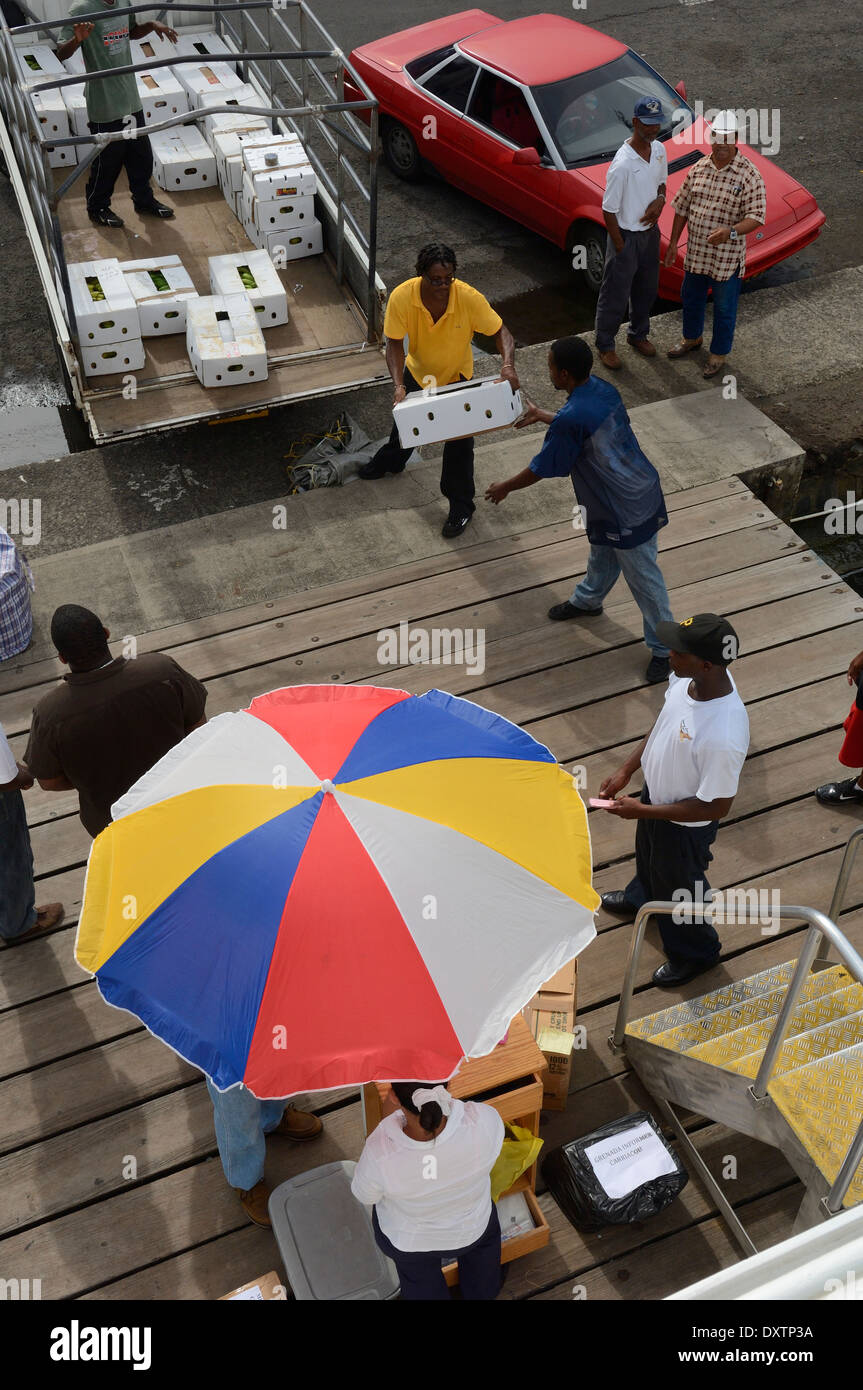 I passeggeri e i rifornimenti alimentari essendo controllata sul bordo della Osprey Express.Il Grenada, Carriacou e Petite Martinique traghetto. Grenada Foto Stock