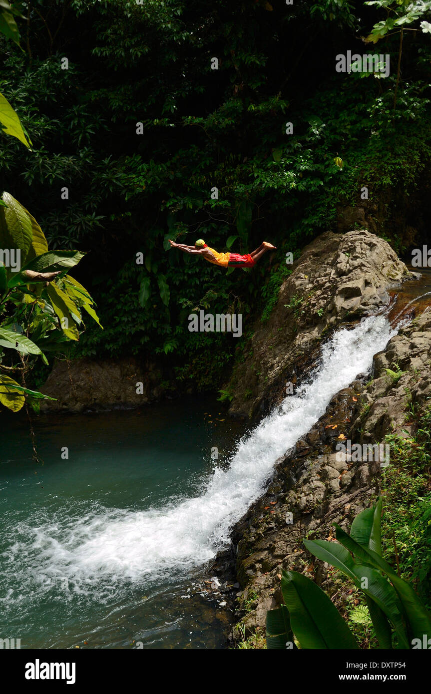 Grenadian uomo tuffarsi in sette sorelle cade. Parco nazionale Grand Etang, Grenada W.I. Foto Stock