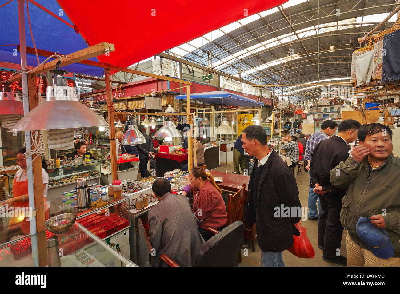 Insetti e ragni in un cibo cinese sul mercato Foto stock - Alamy