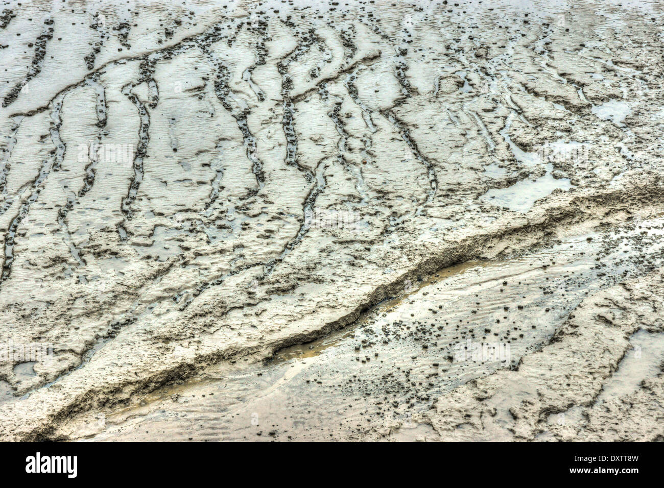 Appartamenti di fango sul fiume Tamigi Foto Stock
