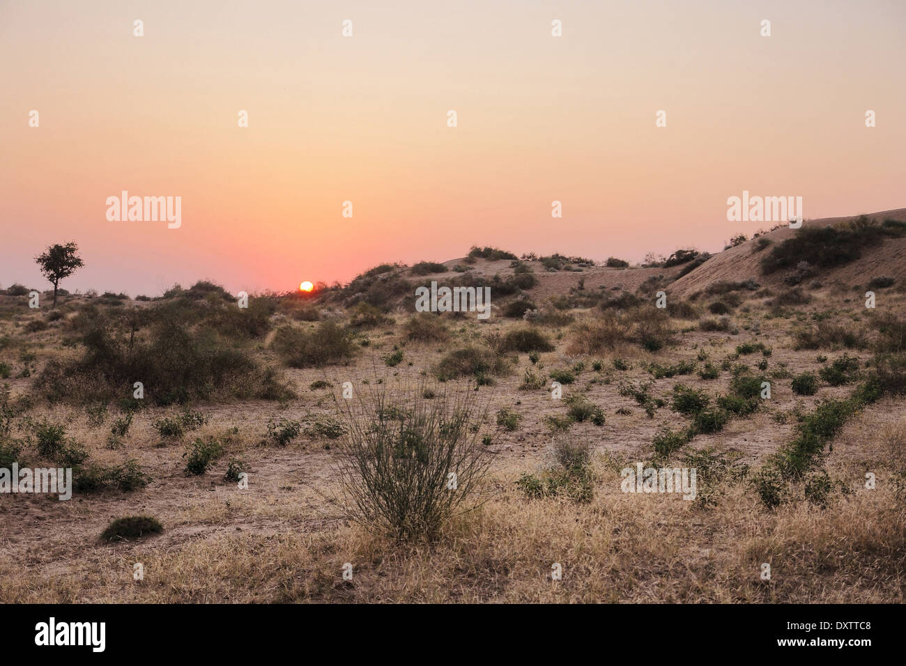 Idilliaco tramonto al deserto di Thar in India Foto Stock