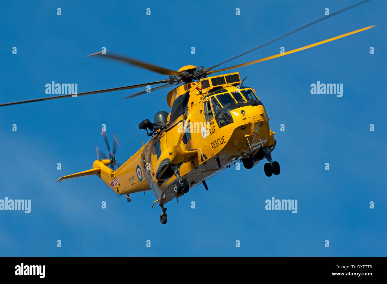 RAF Sea King elicottero 'D' DI VOLO 202 Squadrone Casa Base RAF Lossiemouth Moray Scozia. SCO 9021. Foto Stock