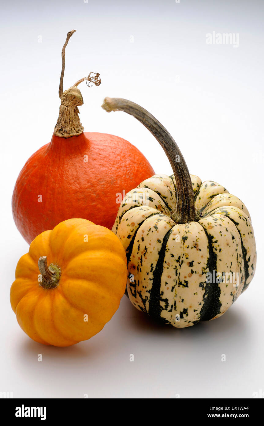 La zucca,Jack-essere-po',patidou Foto Stock