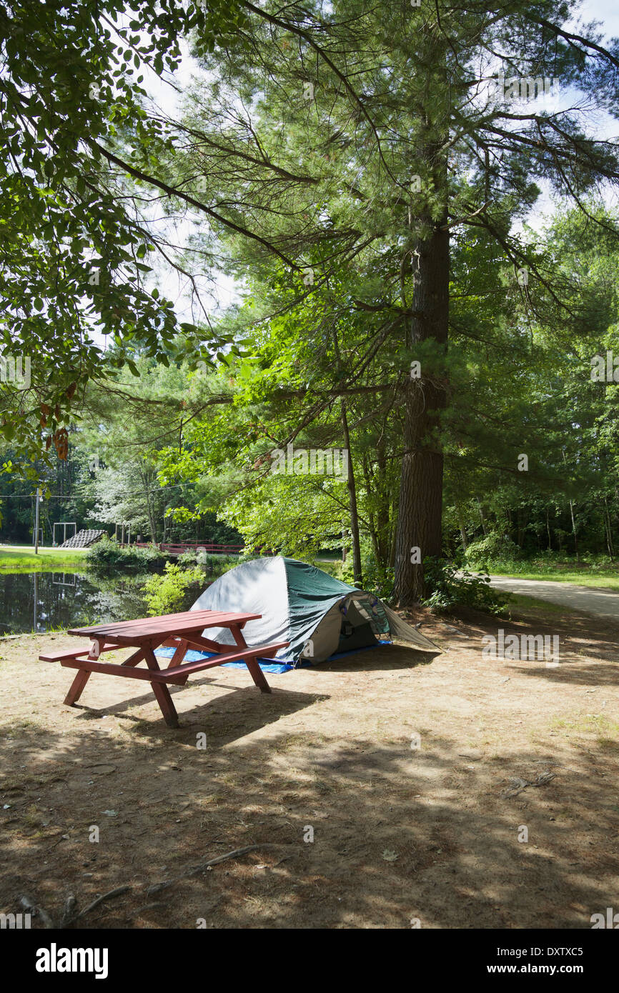 Campeggio con tenda e tavolo da picnic, New Hampshire, Stati Uniti d'America Foto Stock