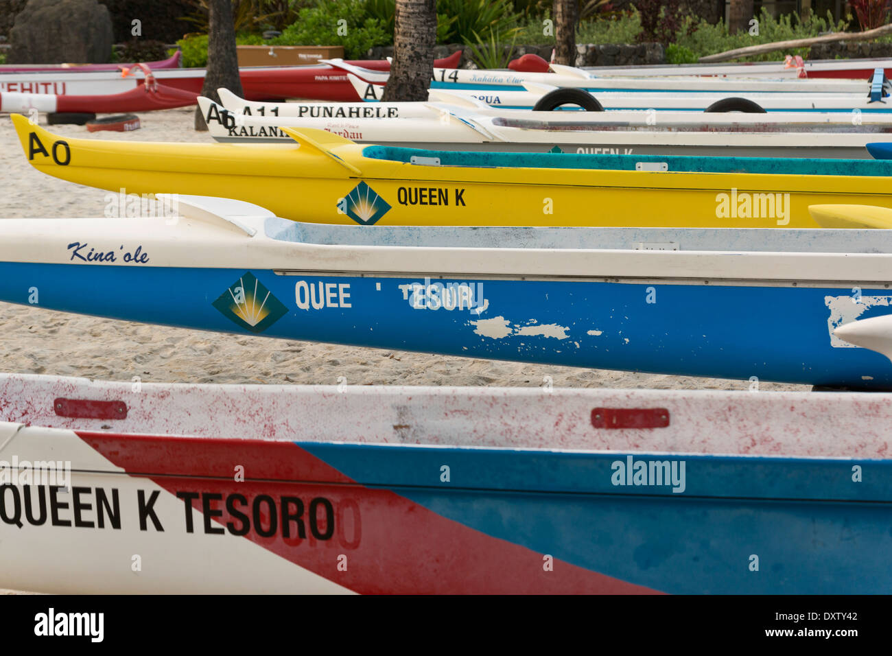 Colorato canoe outrigger sulla spiaggia; Isola delle Hawaii, Hawaii, Stati Uniti d'America Foto Stock