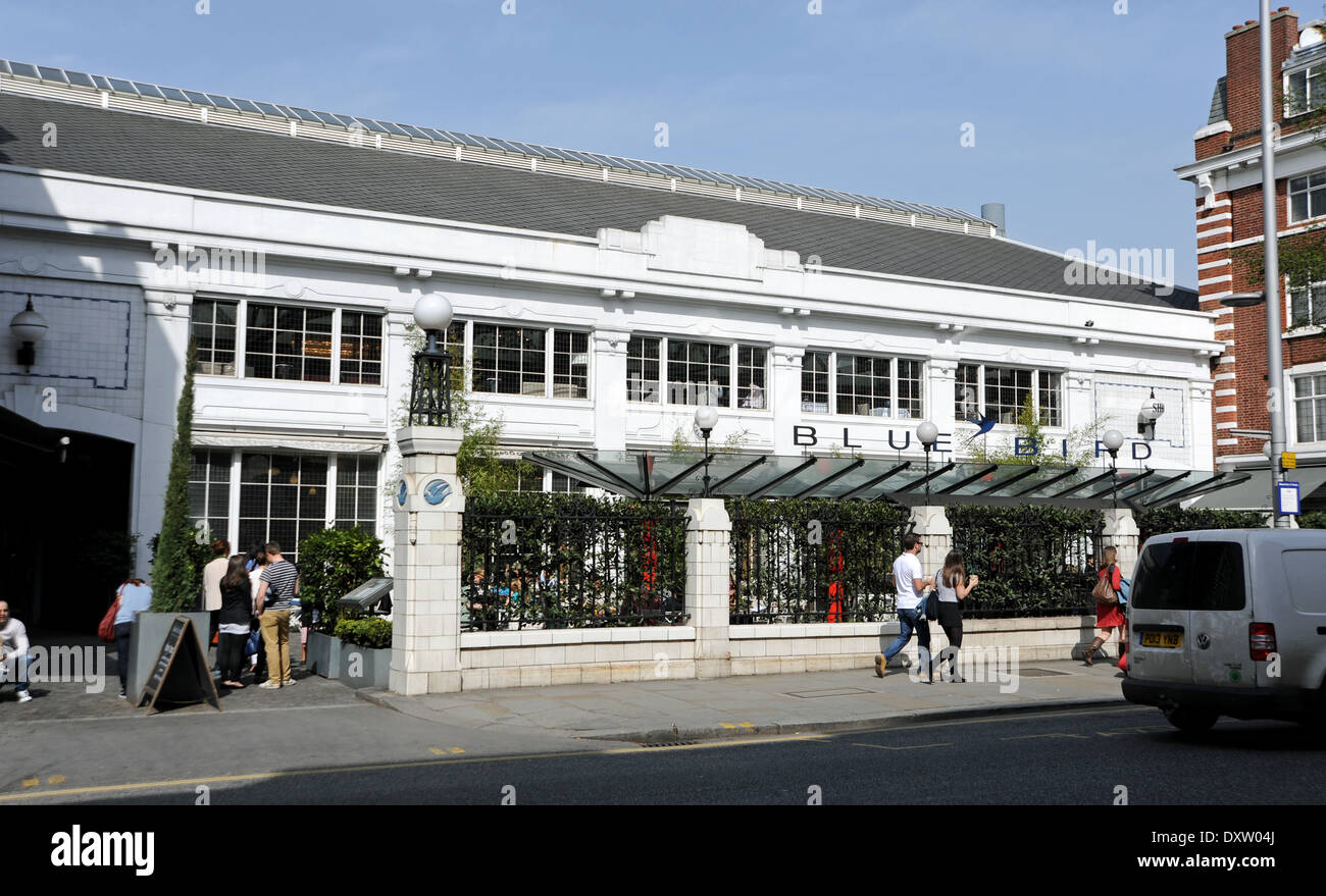 Il Blue Bird bar e ristorante in Kings Road Chelsea reso famoso dalla televisione mostra Made in Chelsea Foto Stock