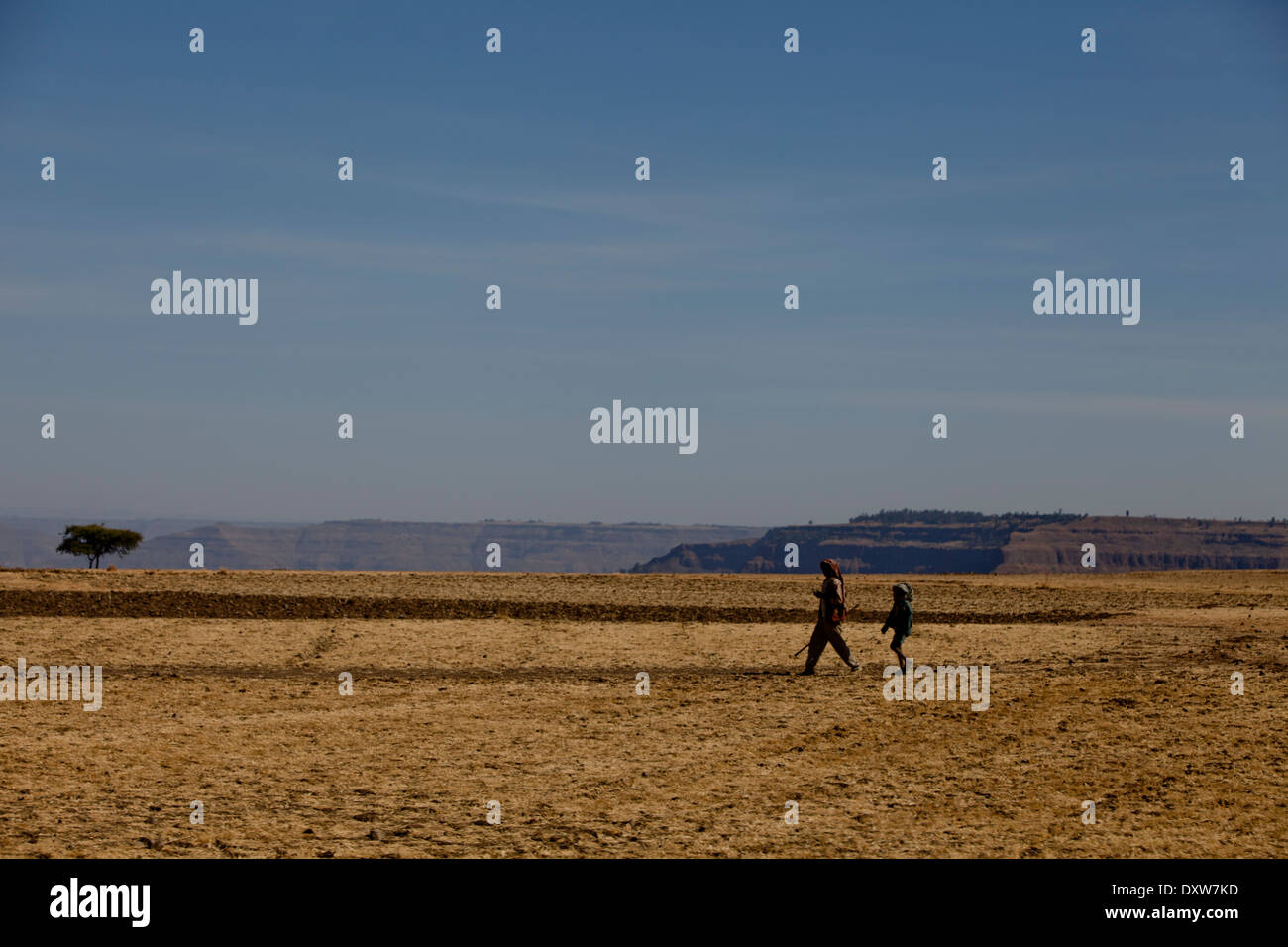 L'uomo africano e ragazzo a piedi campo aperto etiope Foto Stock
