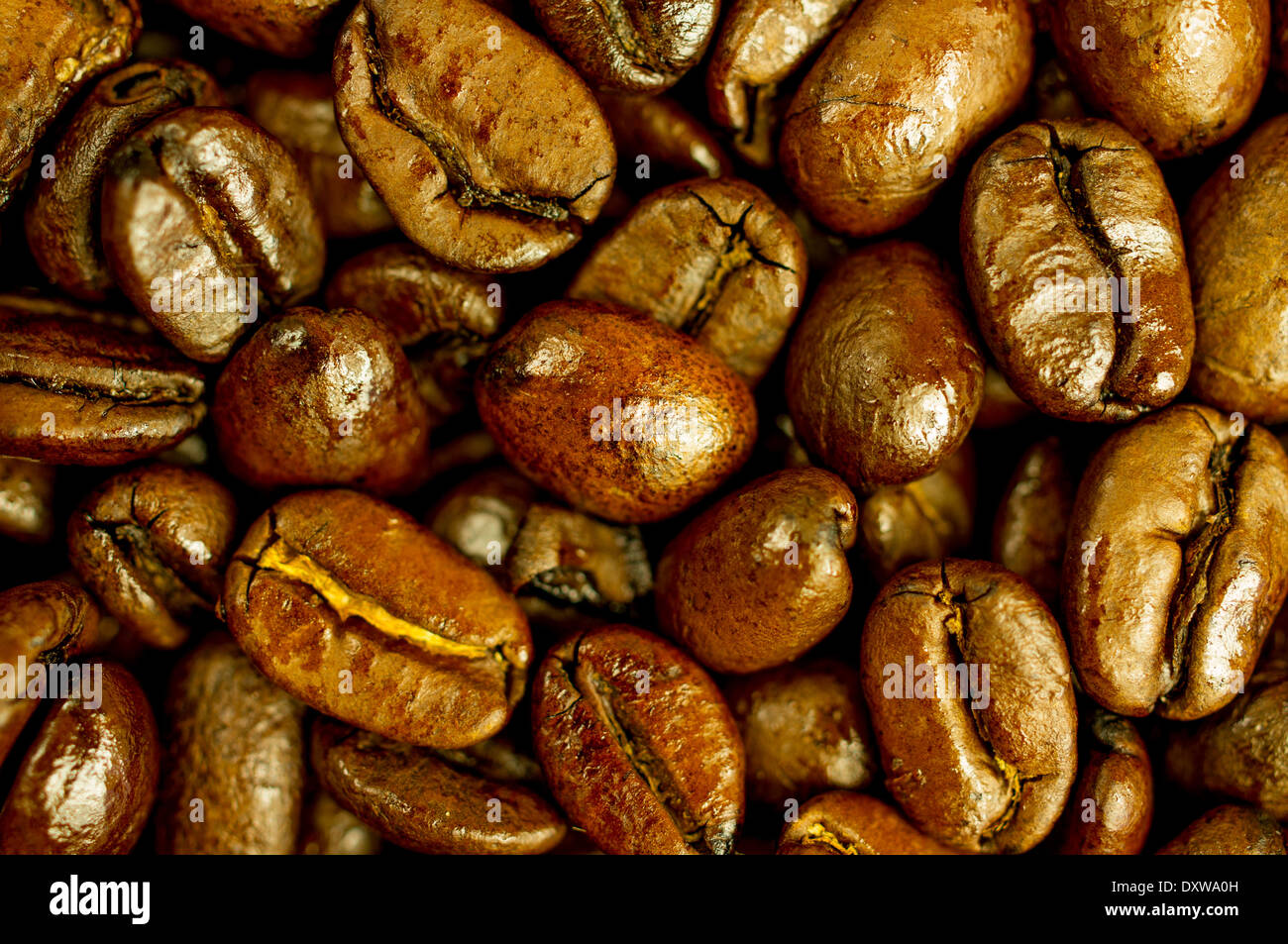 Freschi chicchi di caffè tostati di close-up. Foto Stock