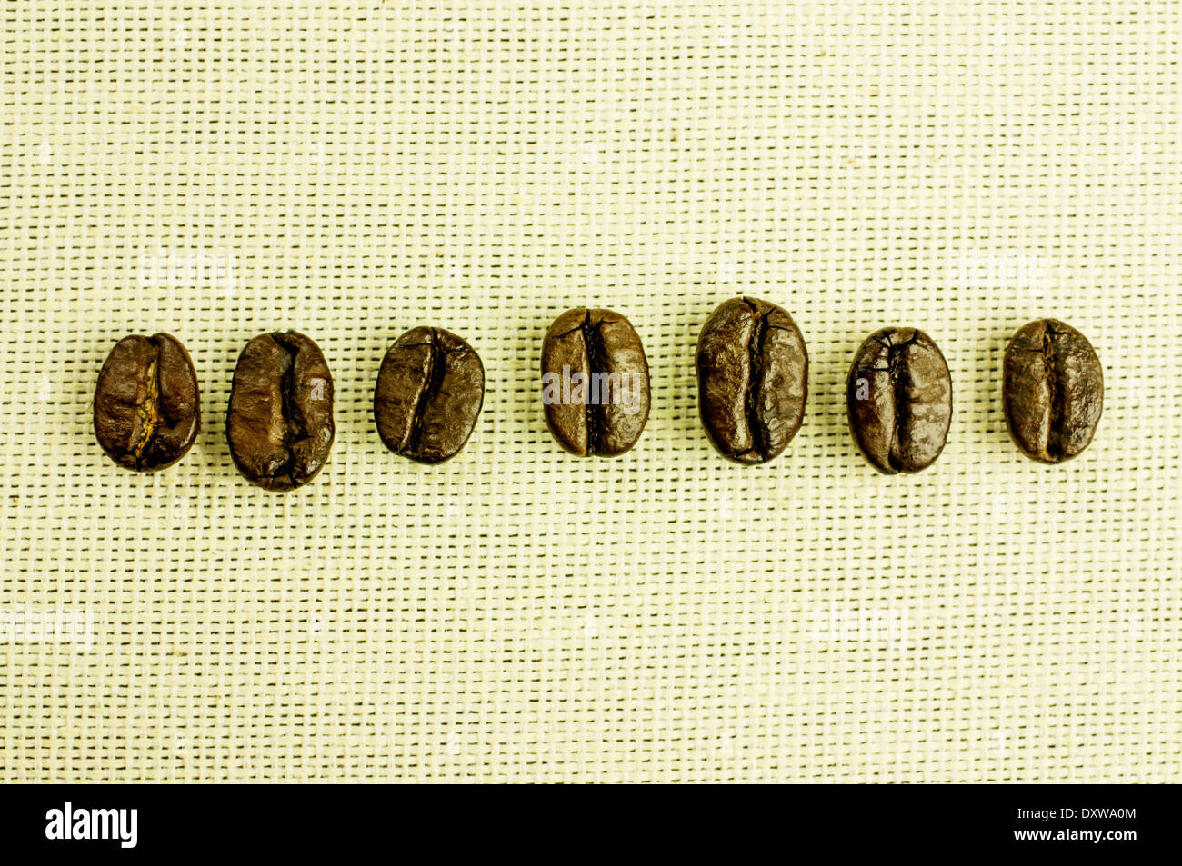Freschi chicchi di caffè tostati close-up in una linea orizzontale. Lo sfondo naturale di tessuto. Foto Stock