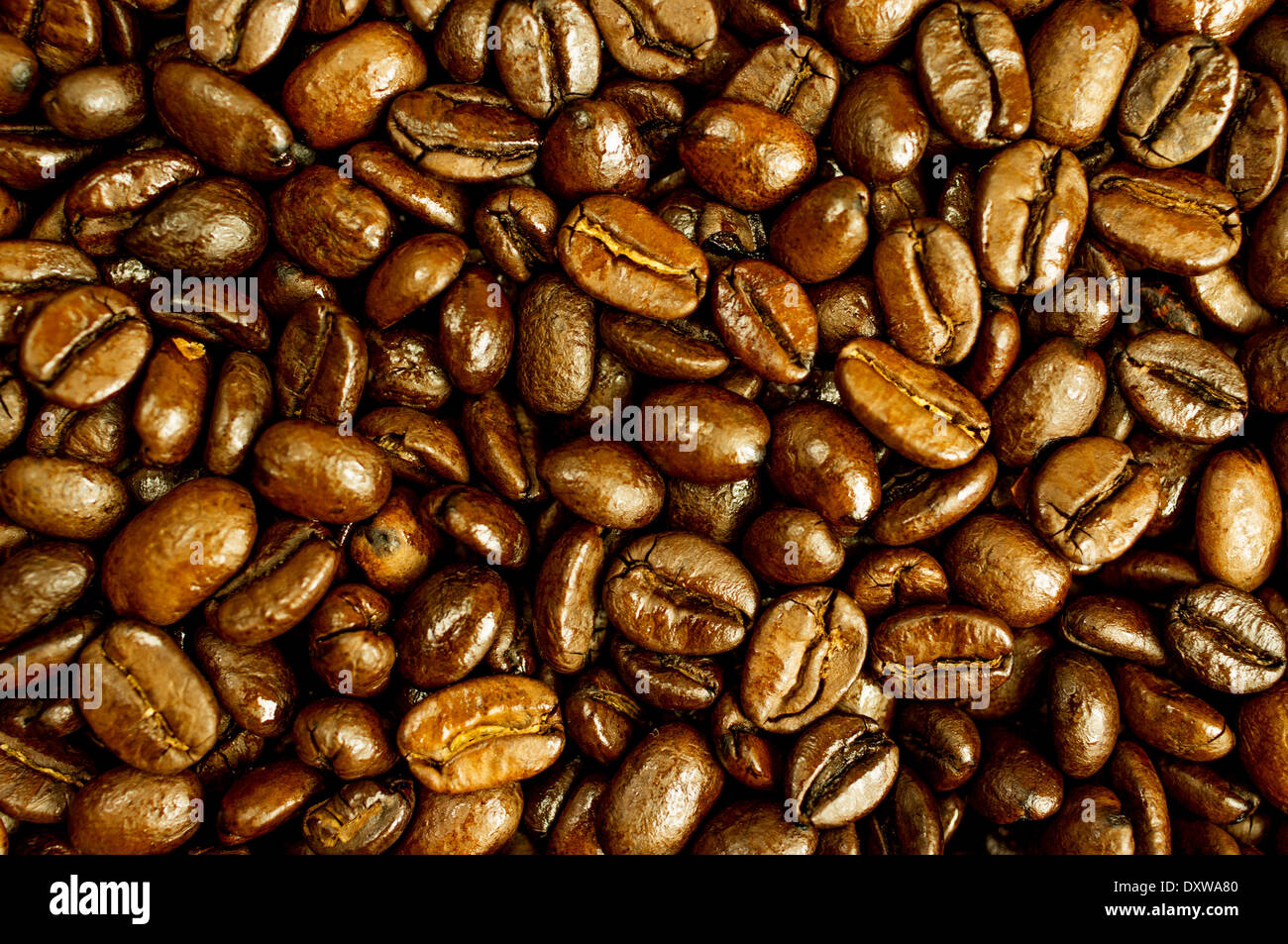 Freschi chicchi di caffè tostati di close-up. Foto Stock