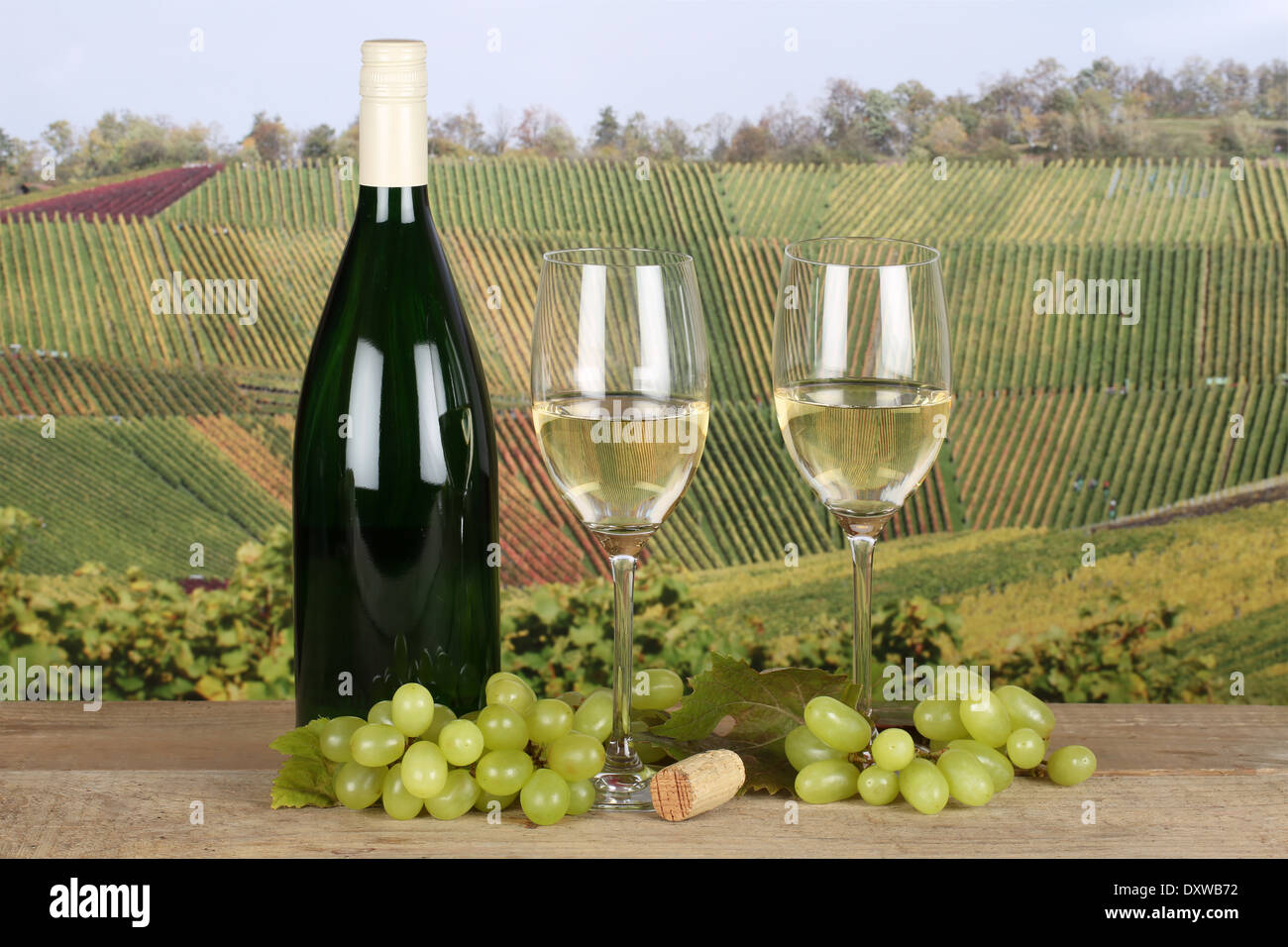Nuovo e fresco vino bianco in bottiglia e bicchieri nei vigneti Foto Stock