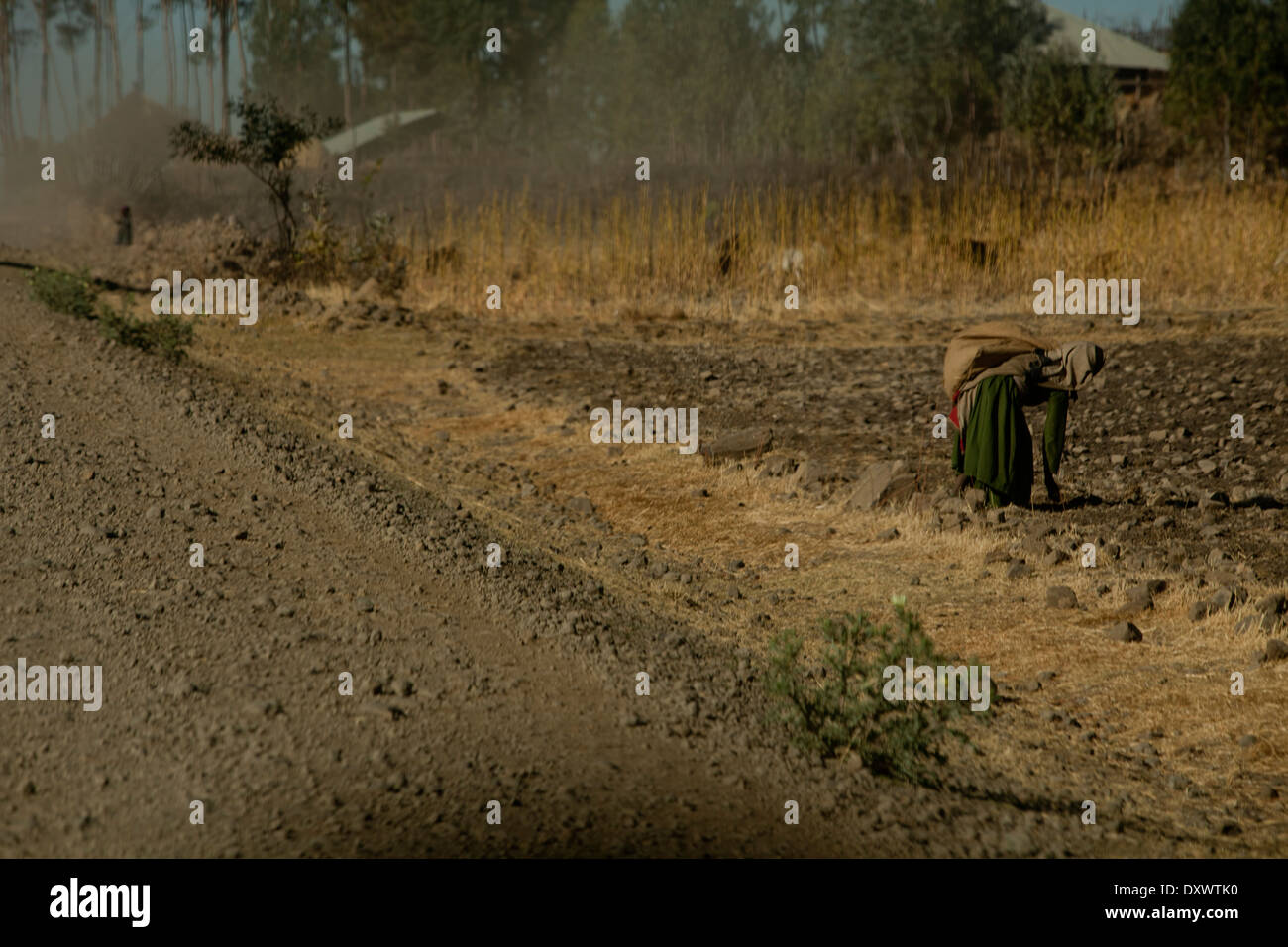 Lavoratore agricolo a lato della strada etiope Foto Stock