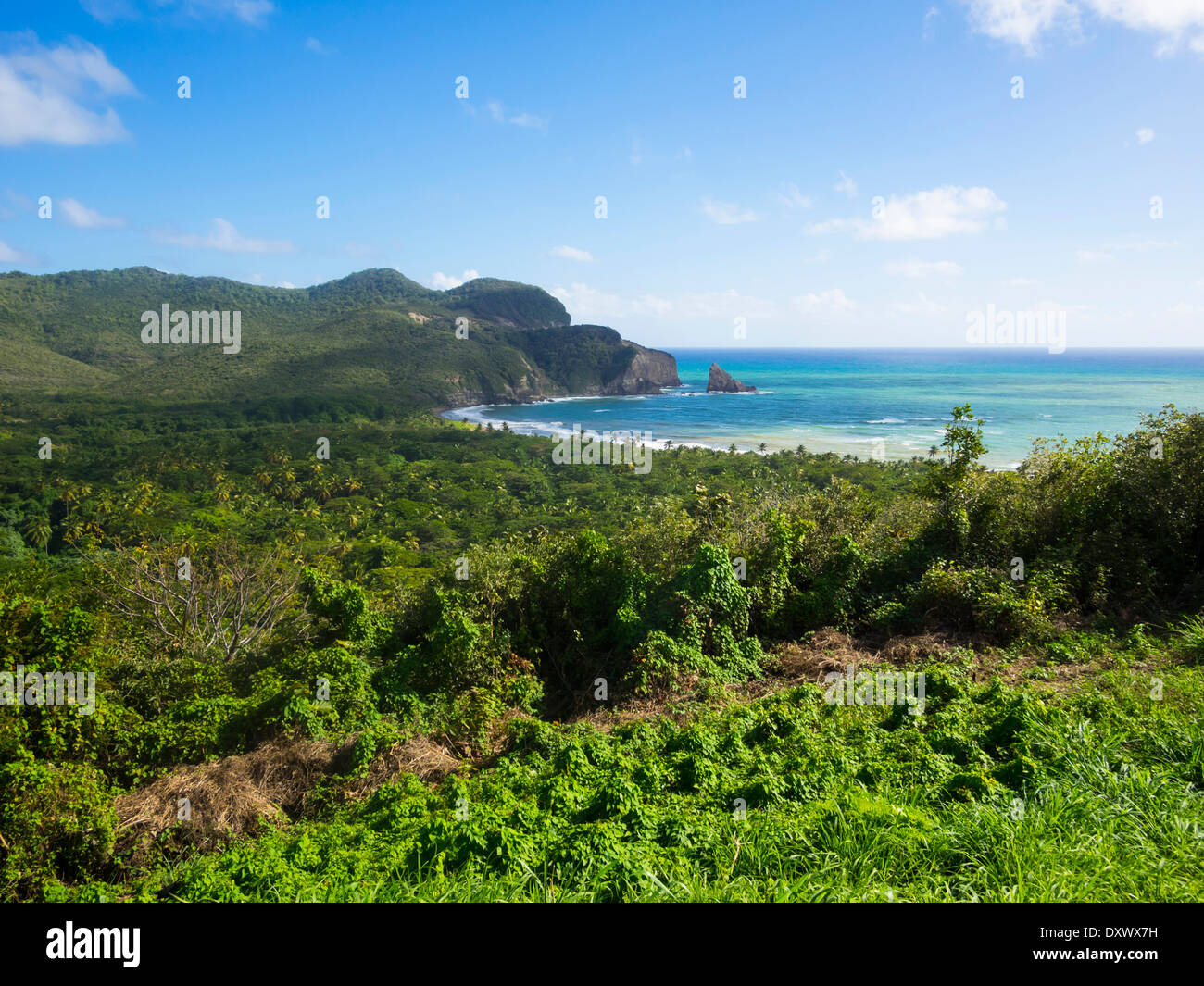 Appassionato d'Or Bay, vicino Dennery, Castries trimestre, Saint Lucia, isole Windward, Piccole Antille Foto Stock