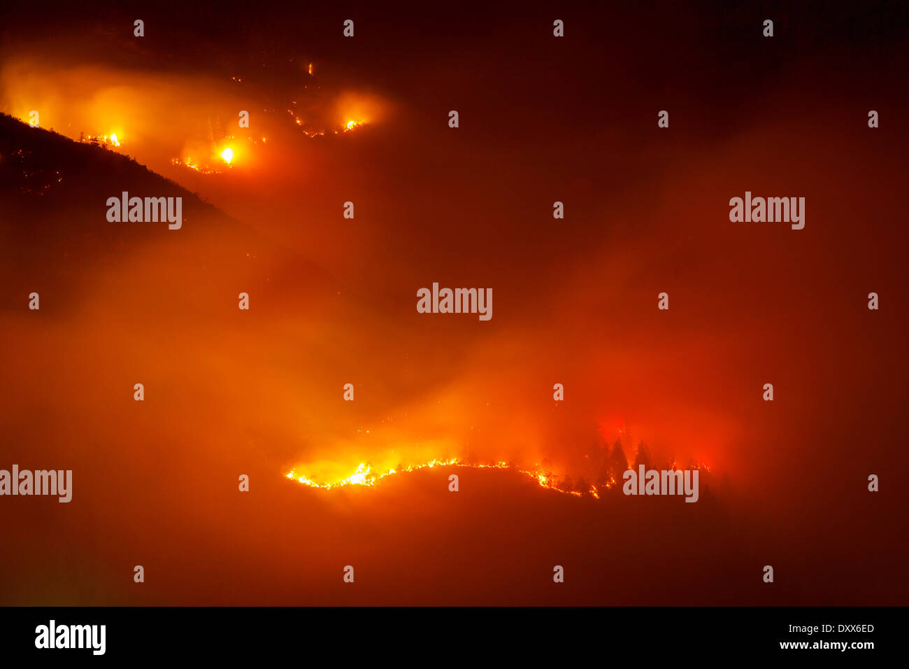 Forest Fire su Mt Hochmahdkopf, Tirolo, Austria Foto Stock