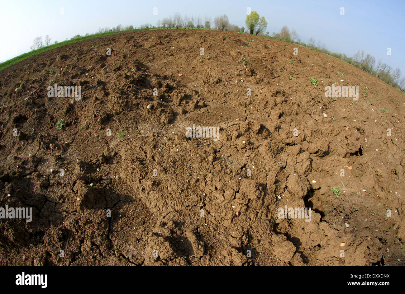 Bruna terra dall'agricoltore arare prima di seminare i semi per il raccolto autunnale Foto Stock