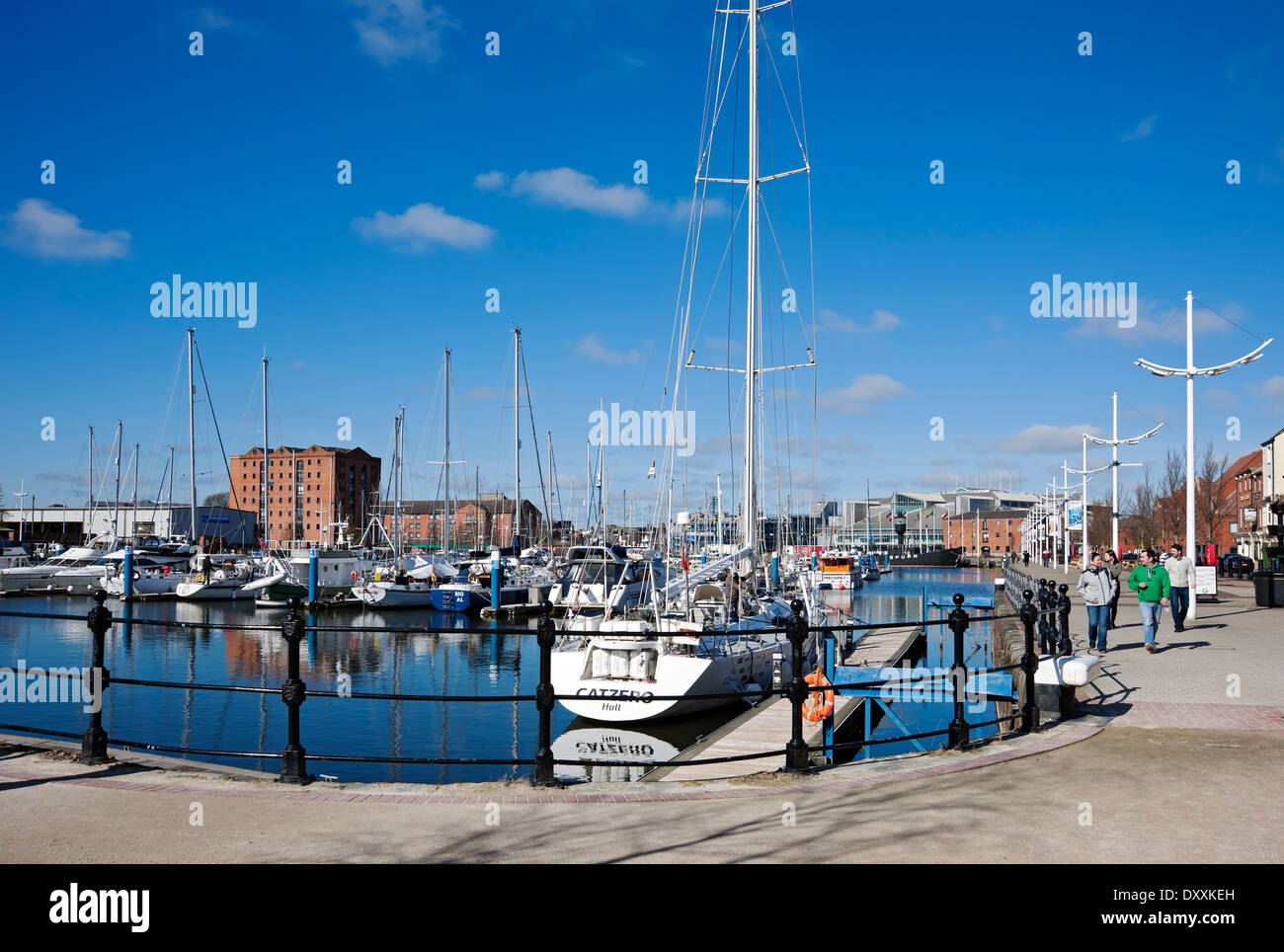 Barche yacht ormeggiati a Marina Kingston upon Hull East Yorkshire Inghilterra Regno Unito Gran Bretagna Foto Stock