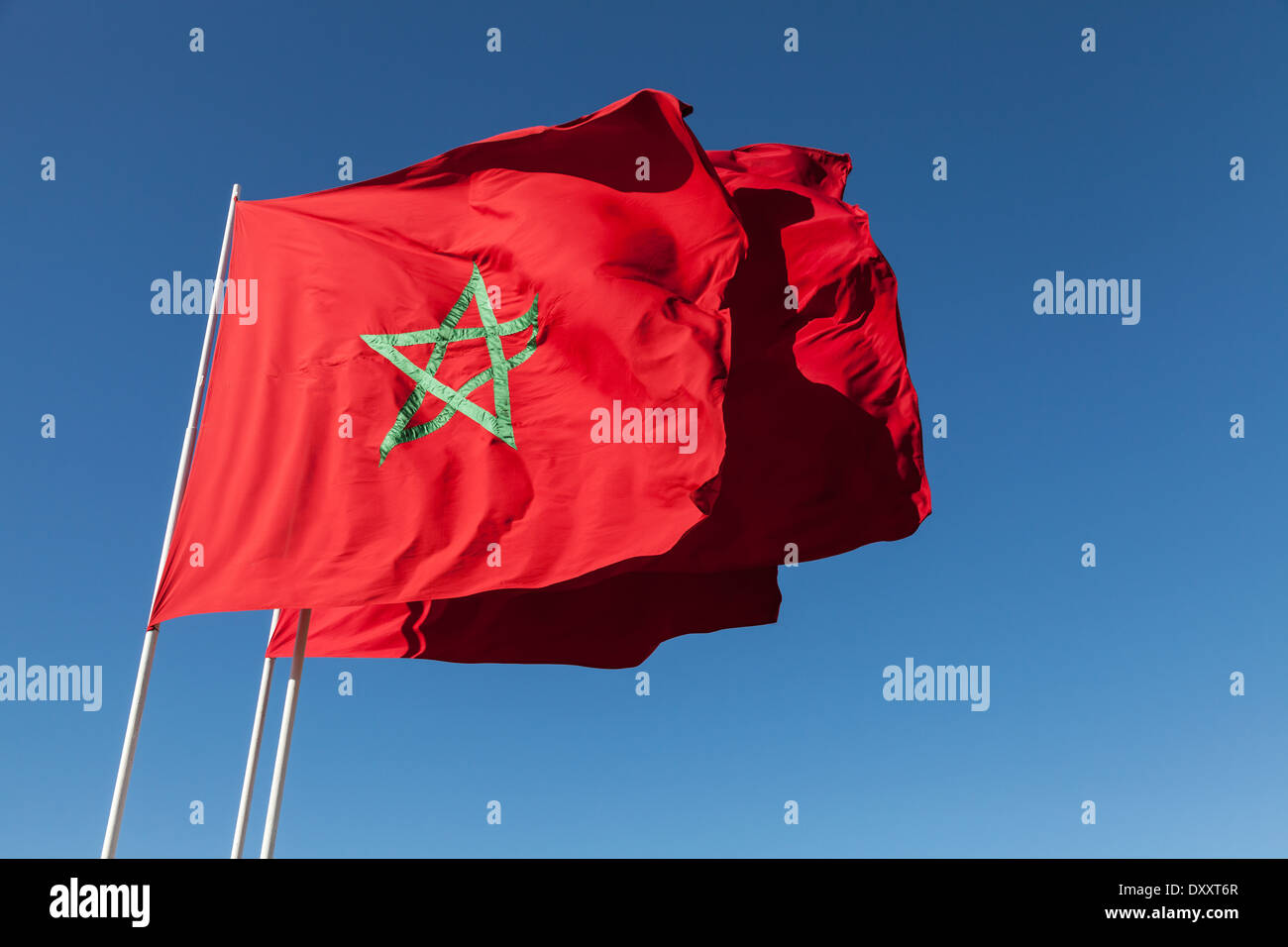 Bandiera Stelle E Barre 1° Nazionale 7 Stelle 2x3 Poli Nylon 100D - Trade Winds