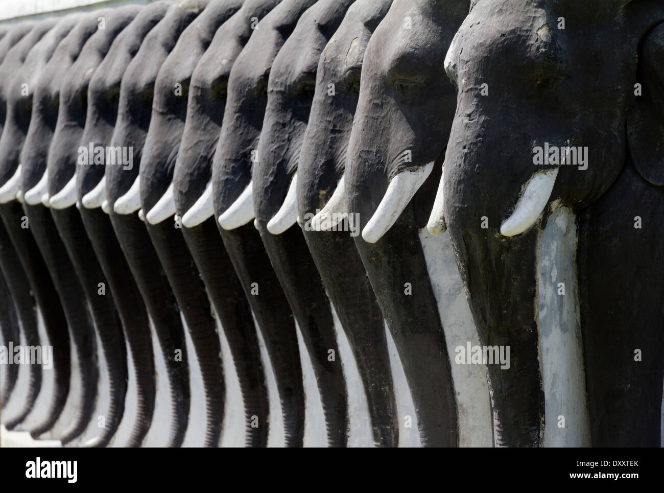 Una linea chiusa di elefanti scolpiti proteggere il Ruwanwelisaya Stupa in città sacra di Anuradhapura in Sri Lanka 3 Foto Stock