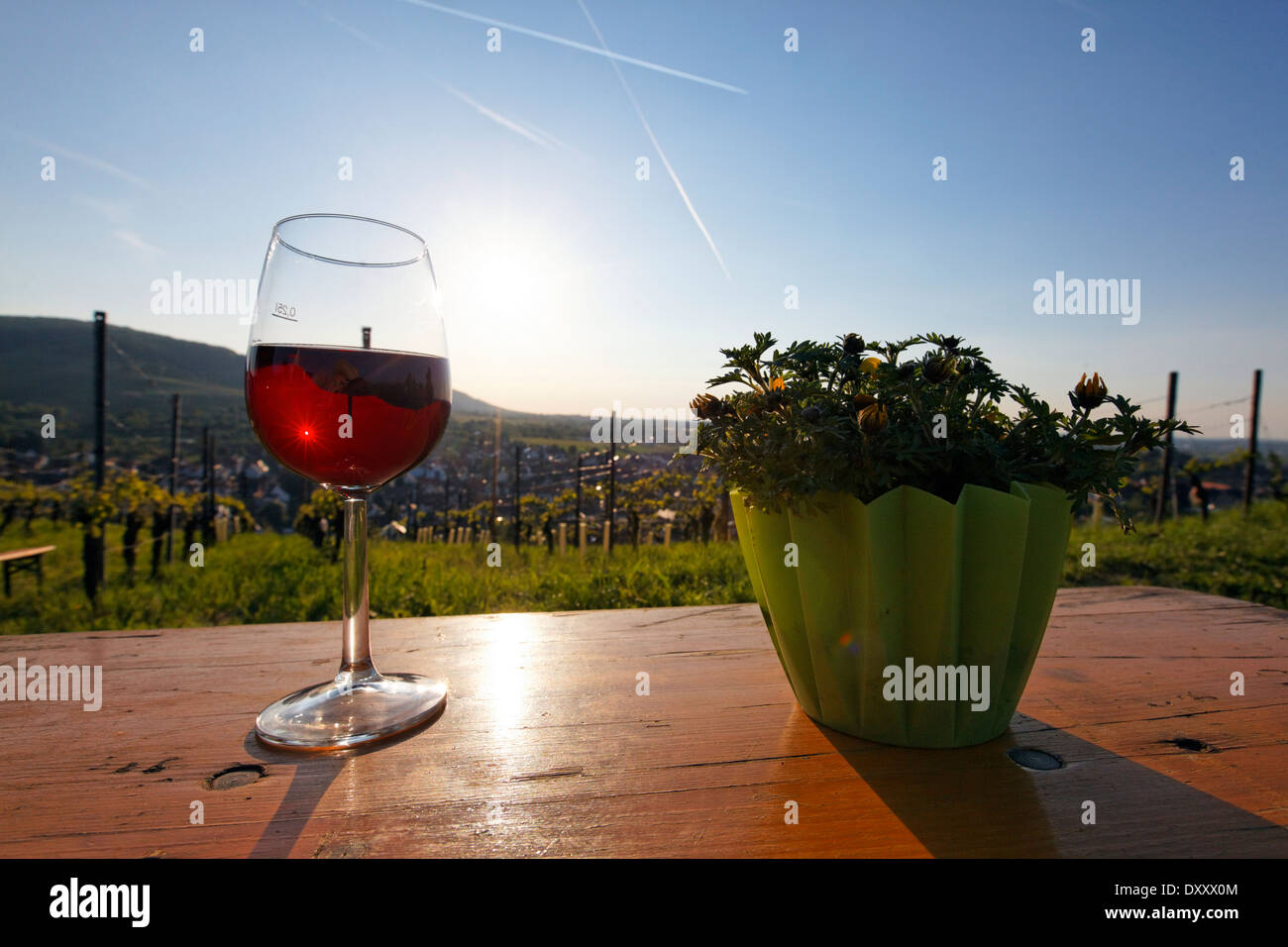Germania, Baden-Württemberg, Kernen-Stetten, "vino culinario Trail", il festival del vino, vino, sunset Foto Stock