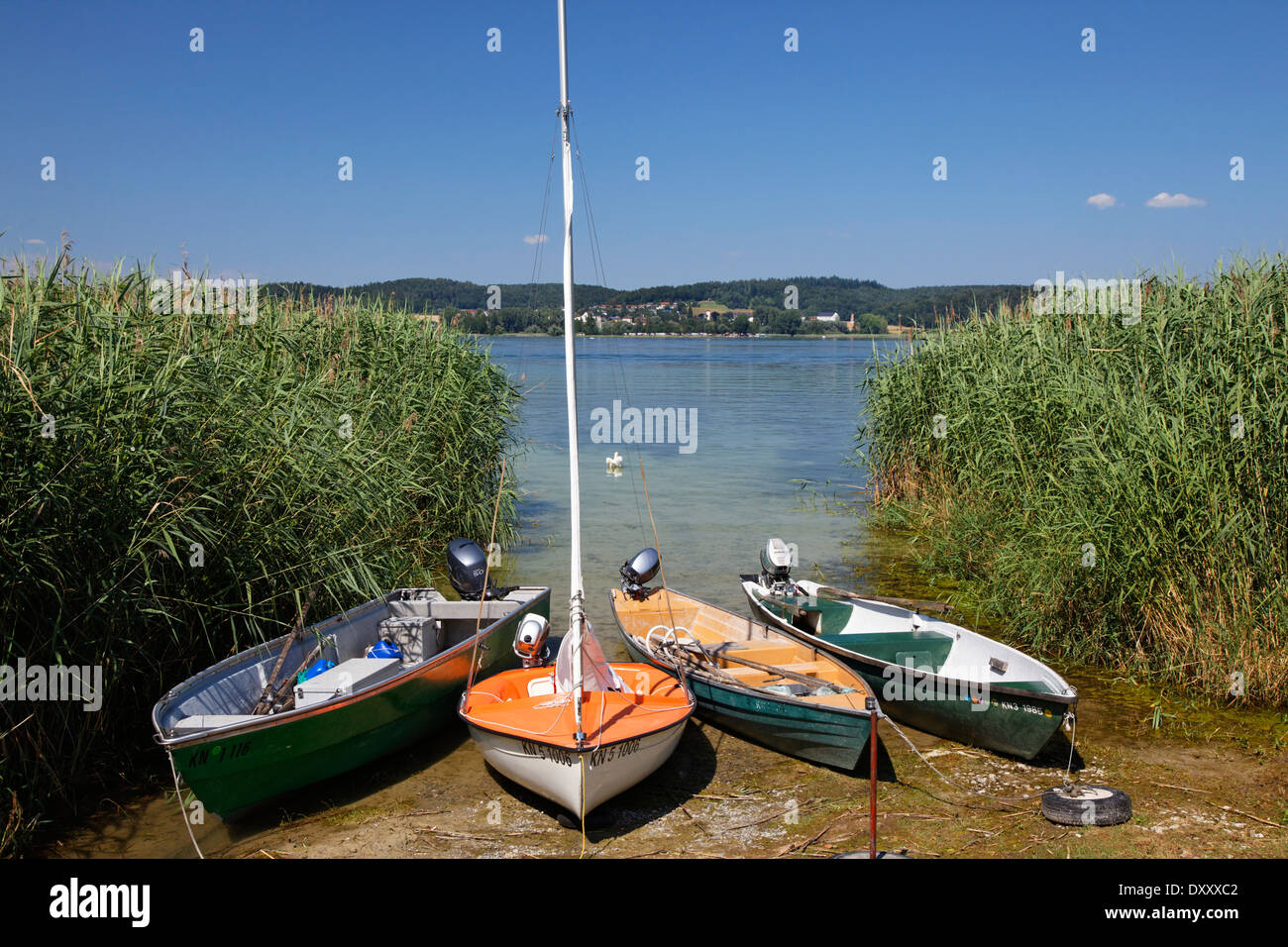 In Germania, il lago di Costanza, Reichenau Islanda, shore, barche, Deutschland, Bodensee, isola di Reichenau, Ufer, Boote Foto Stock